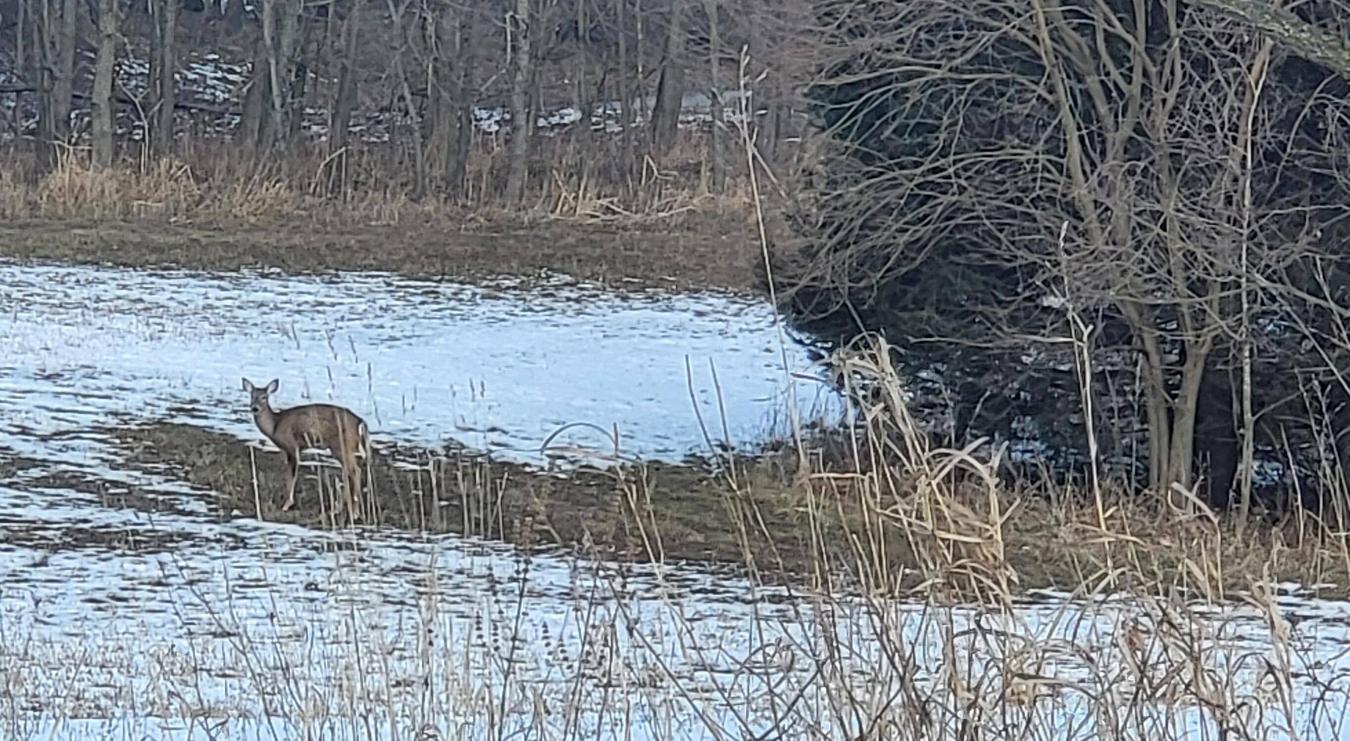 Grass Lake, MI 49240,0 Below Road