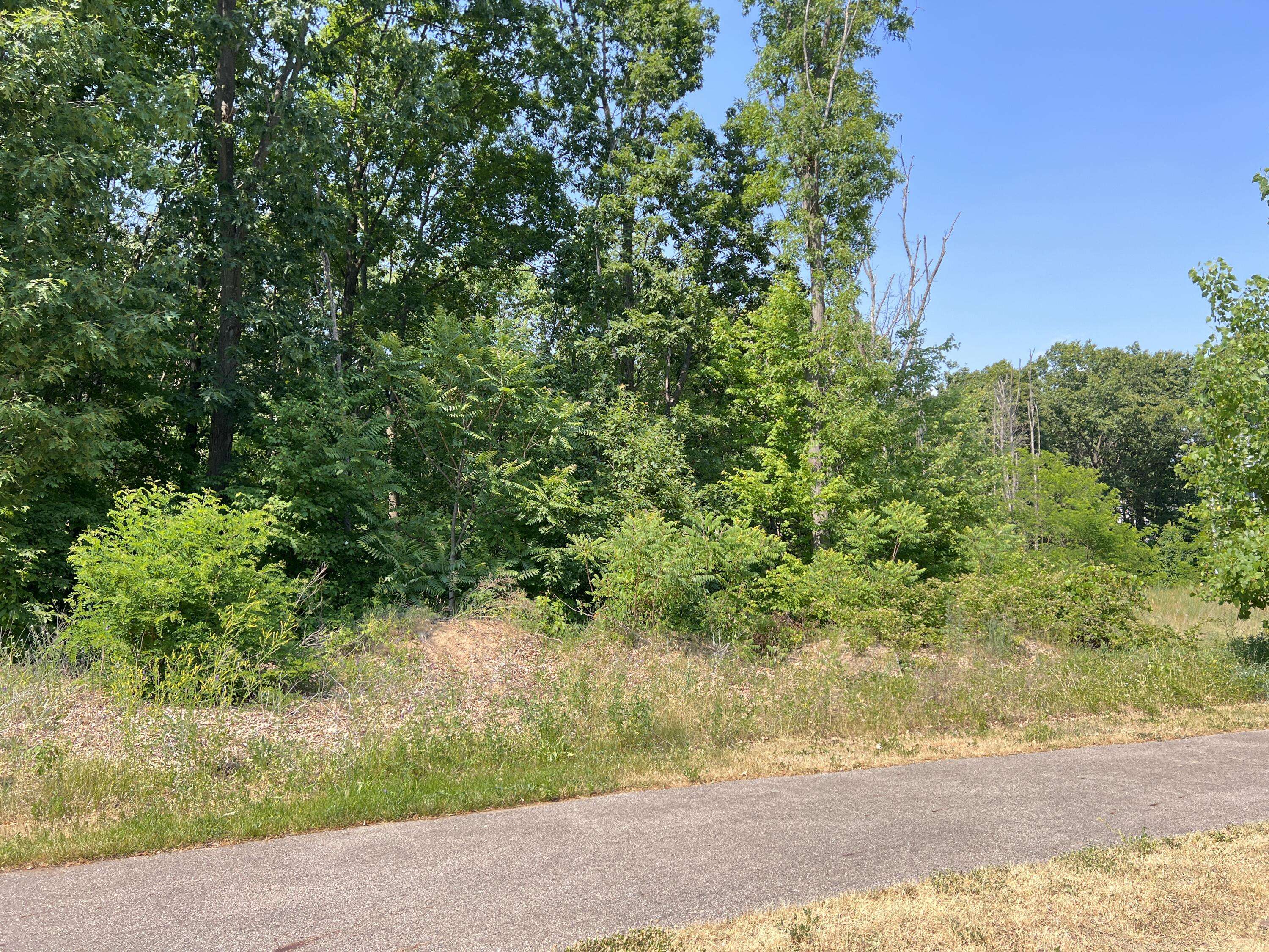Mattawan, MI 49071,8532 Brighten Trail