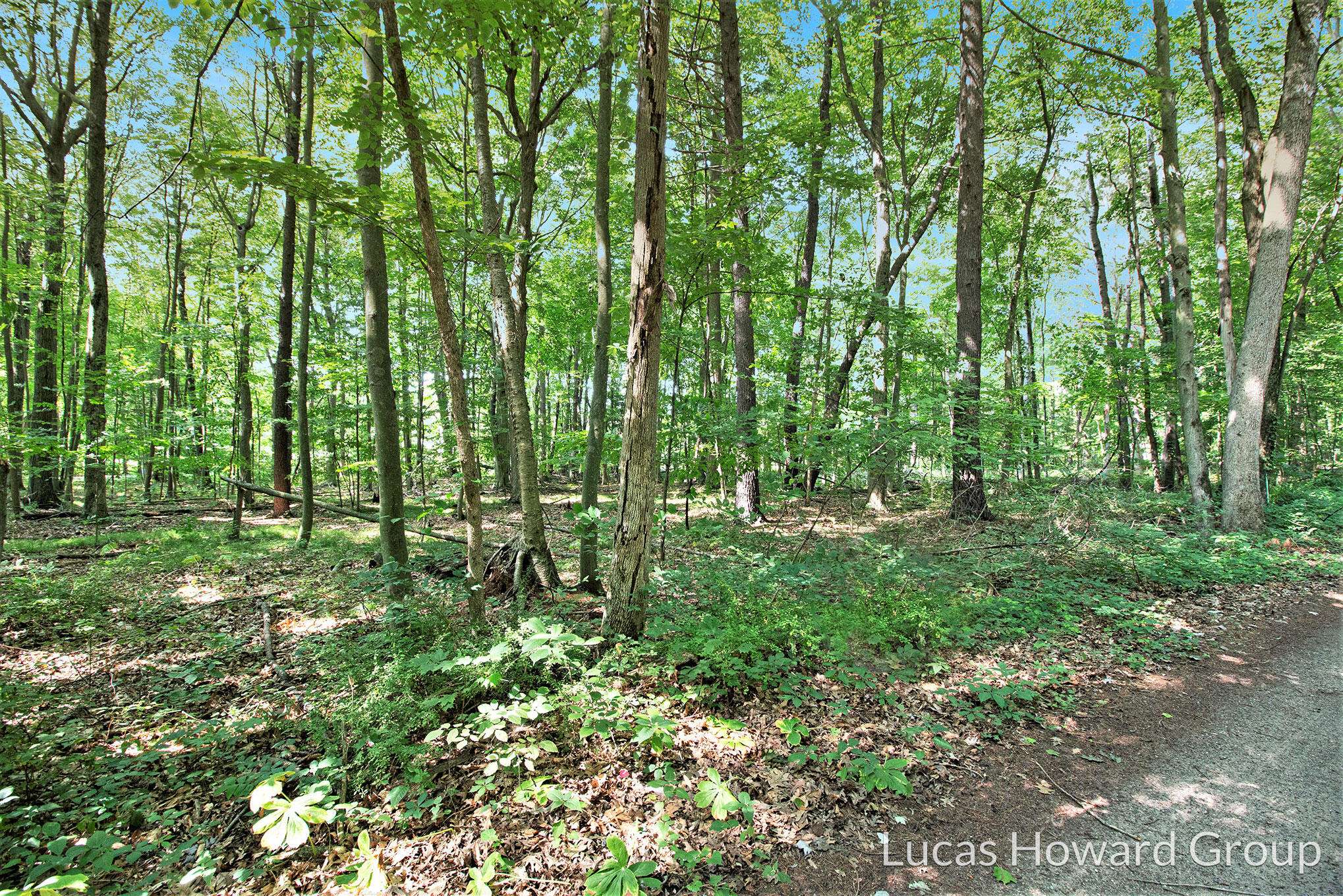 Spring Lake, MI 49456,0 148th Avenue #Lot B3