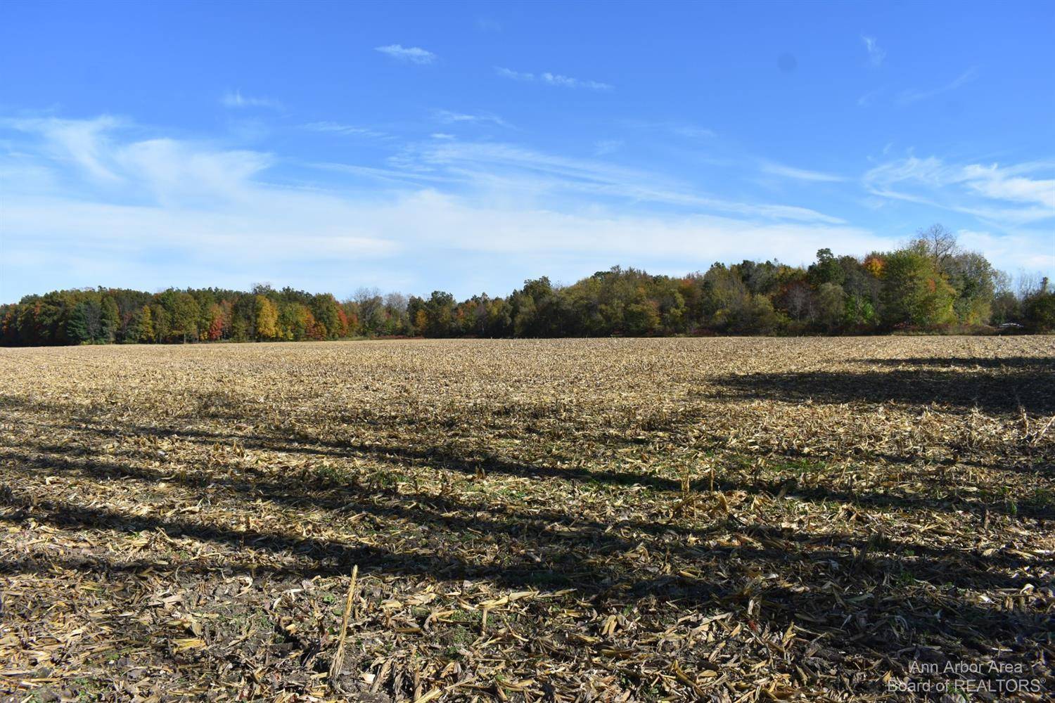 Maybee, MI 48159,1 Townsend