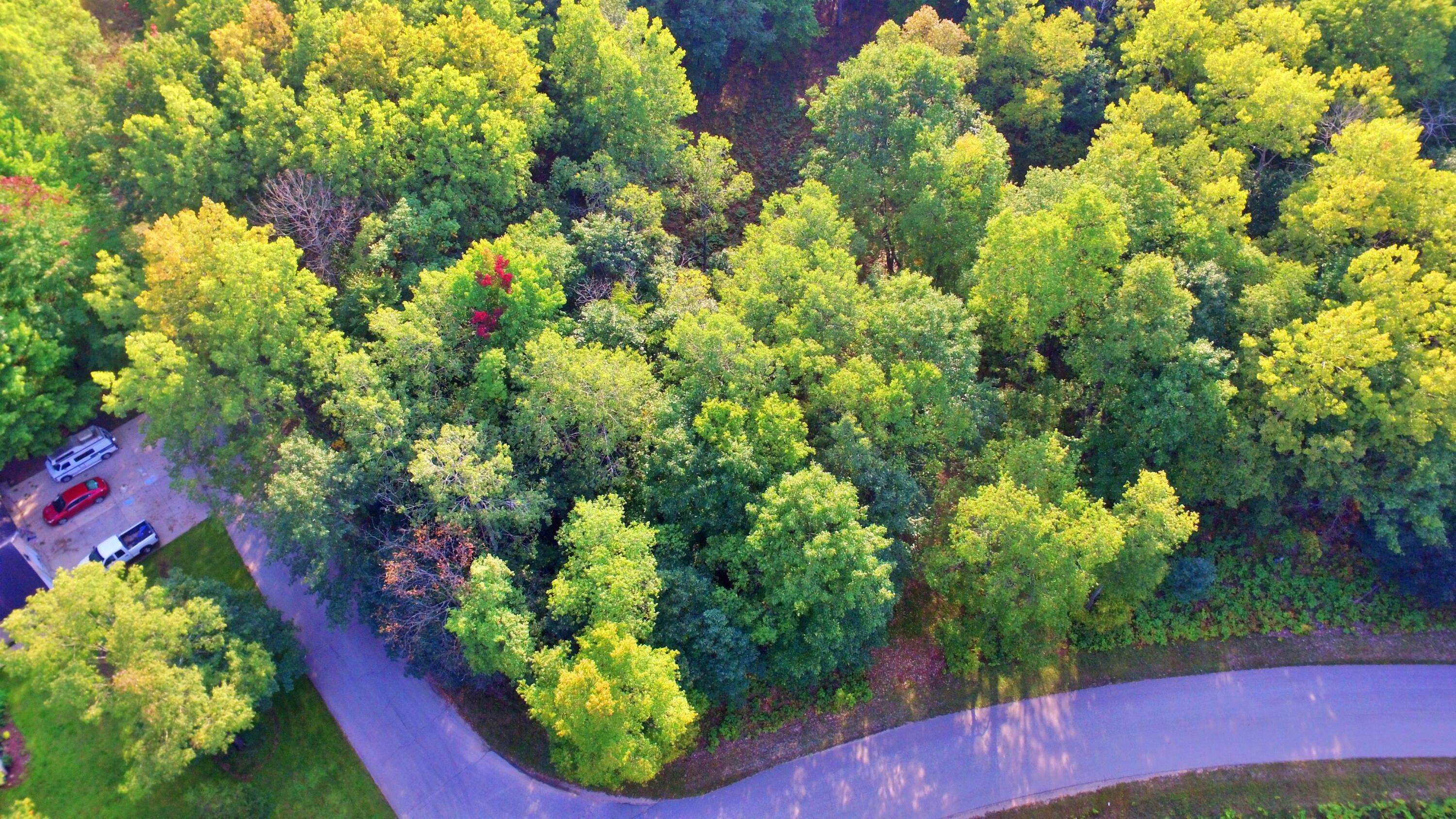 Canadian Lakes, MI 49346,6185 Fawn Lake Drive