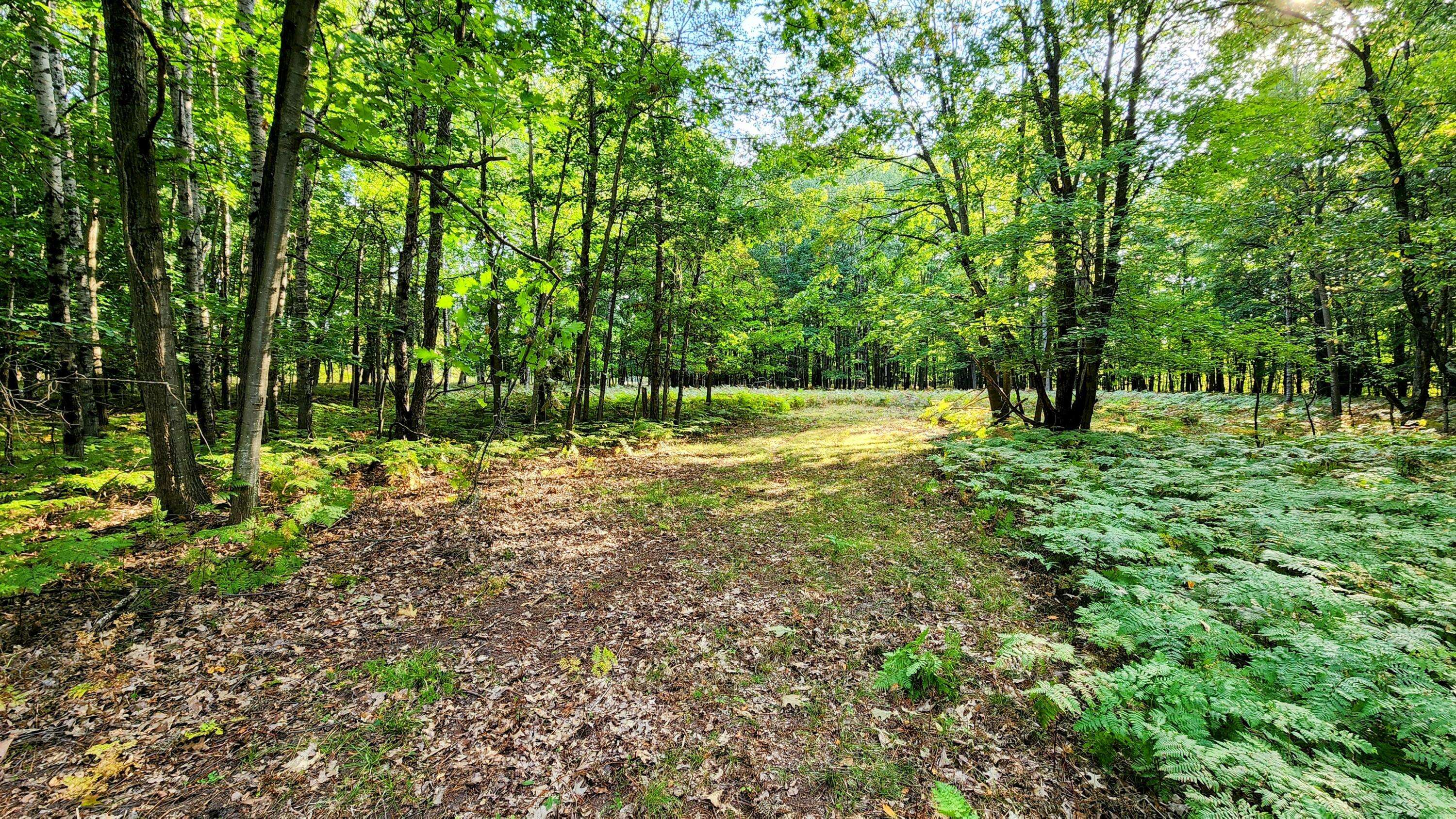 Canadian Lakes, MI 49346,6185 Fawn Lake Drive