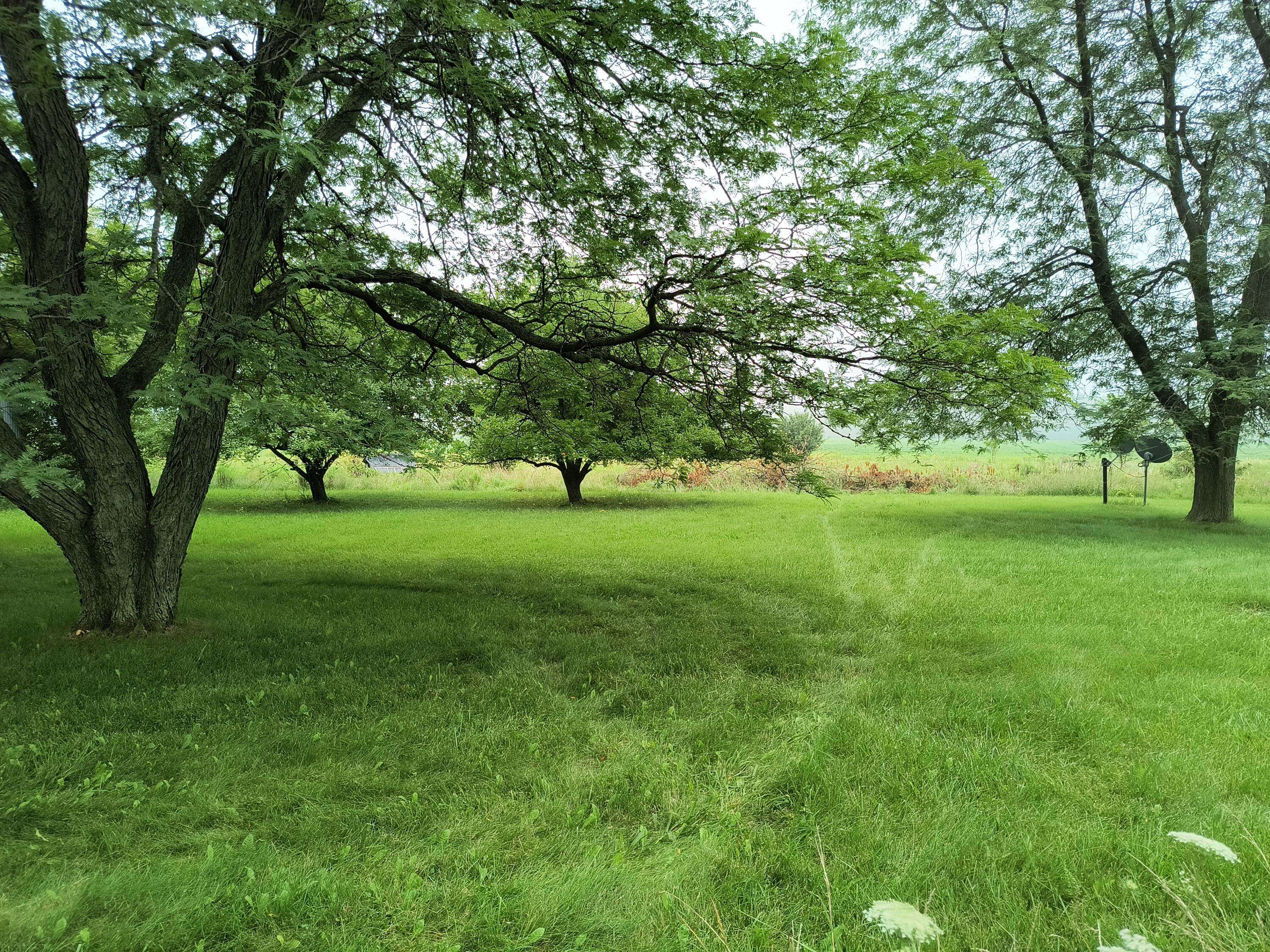 Mount Pleasant, MI 48858,4692 E Jordan Road