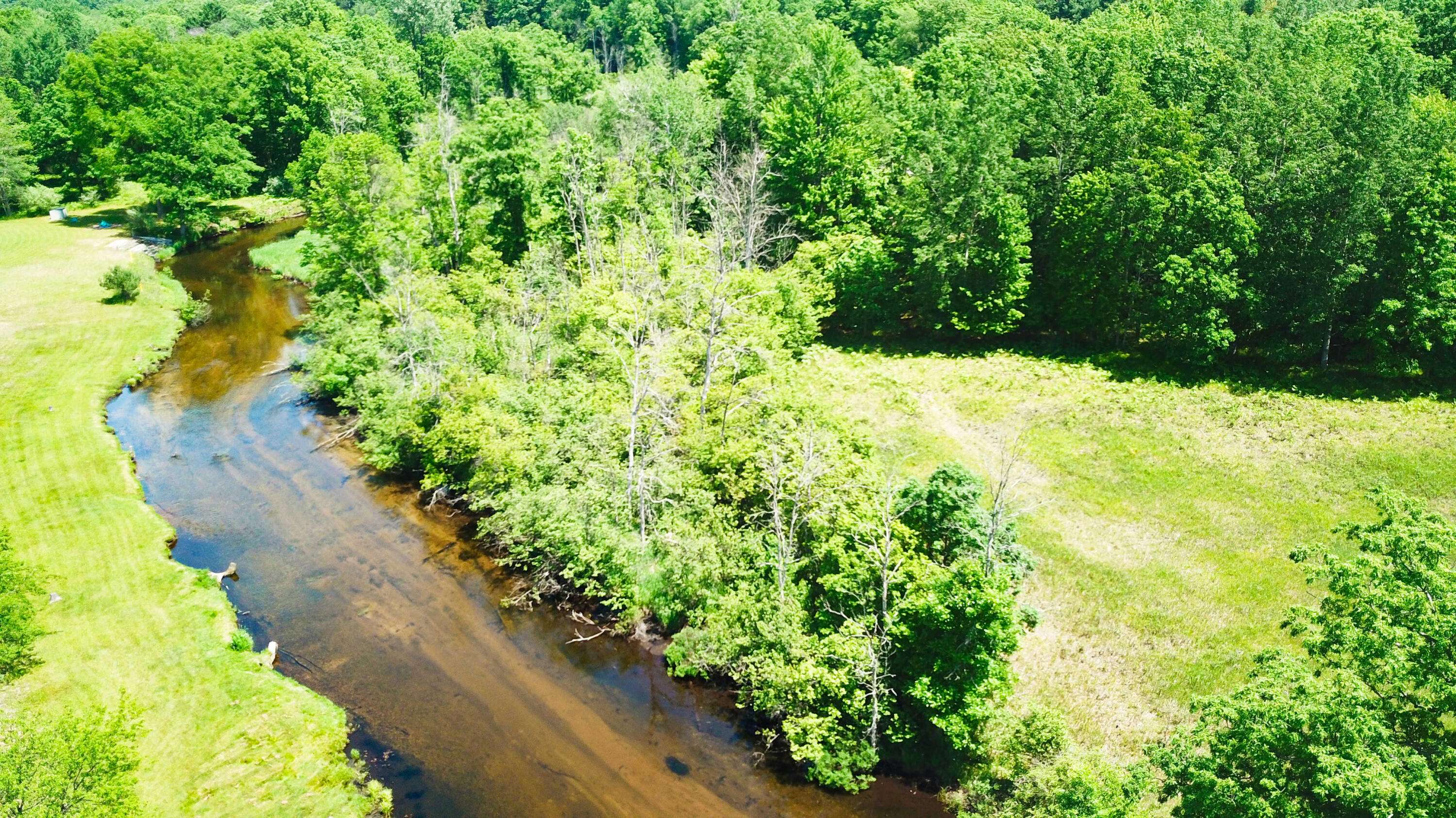 Canadian Lakes, MI 49346,9591 Clubhouse W Drive