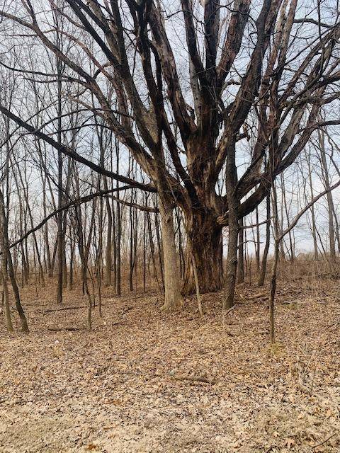 Howell, MI 48843,0 Parcel 5 Schafer Rd
