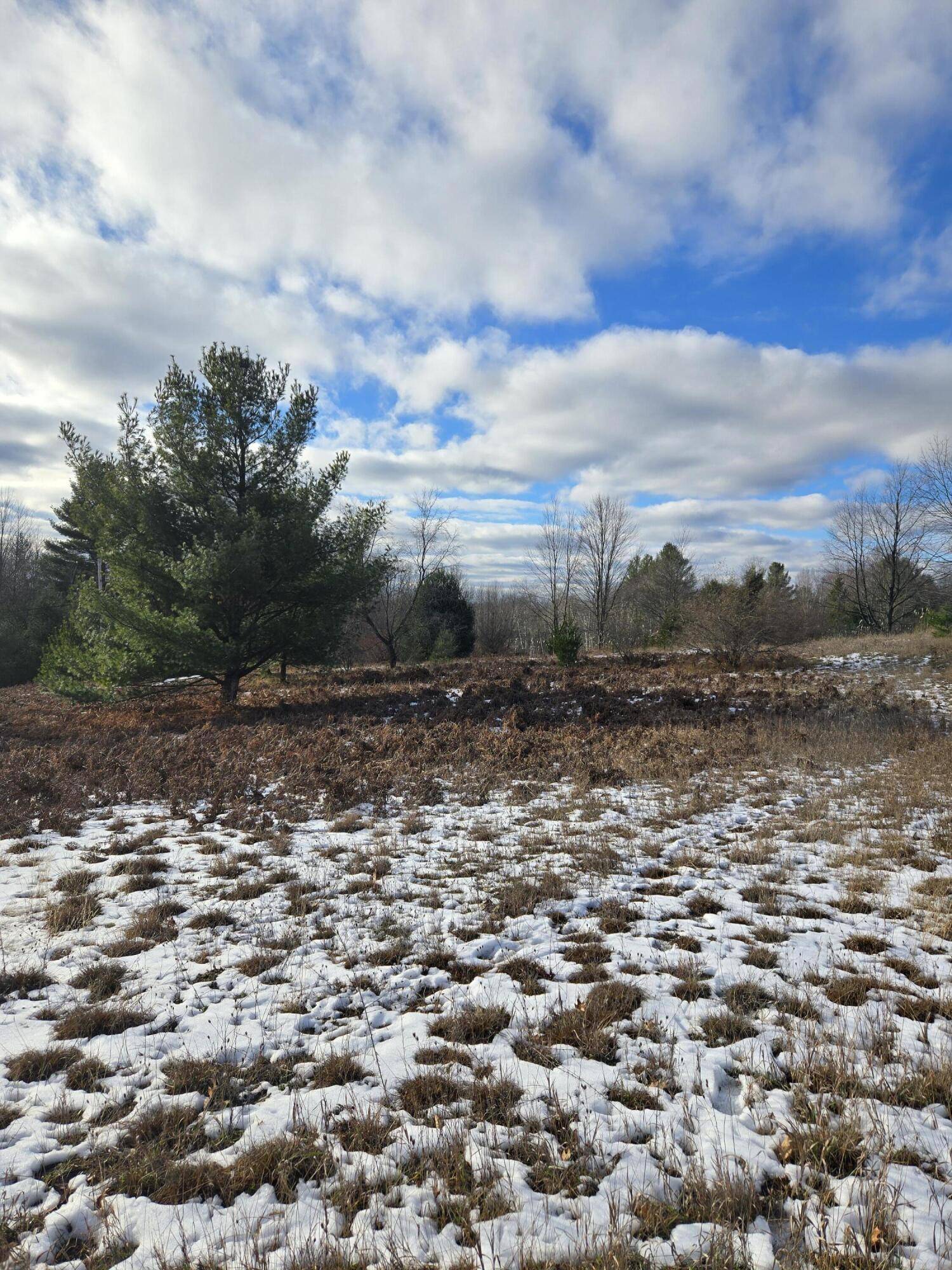 Evart, MI 49631,Lot 895 Lake Miramichi Drive