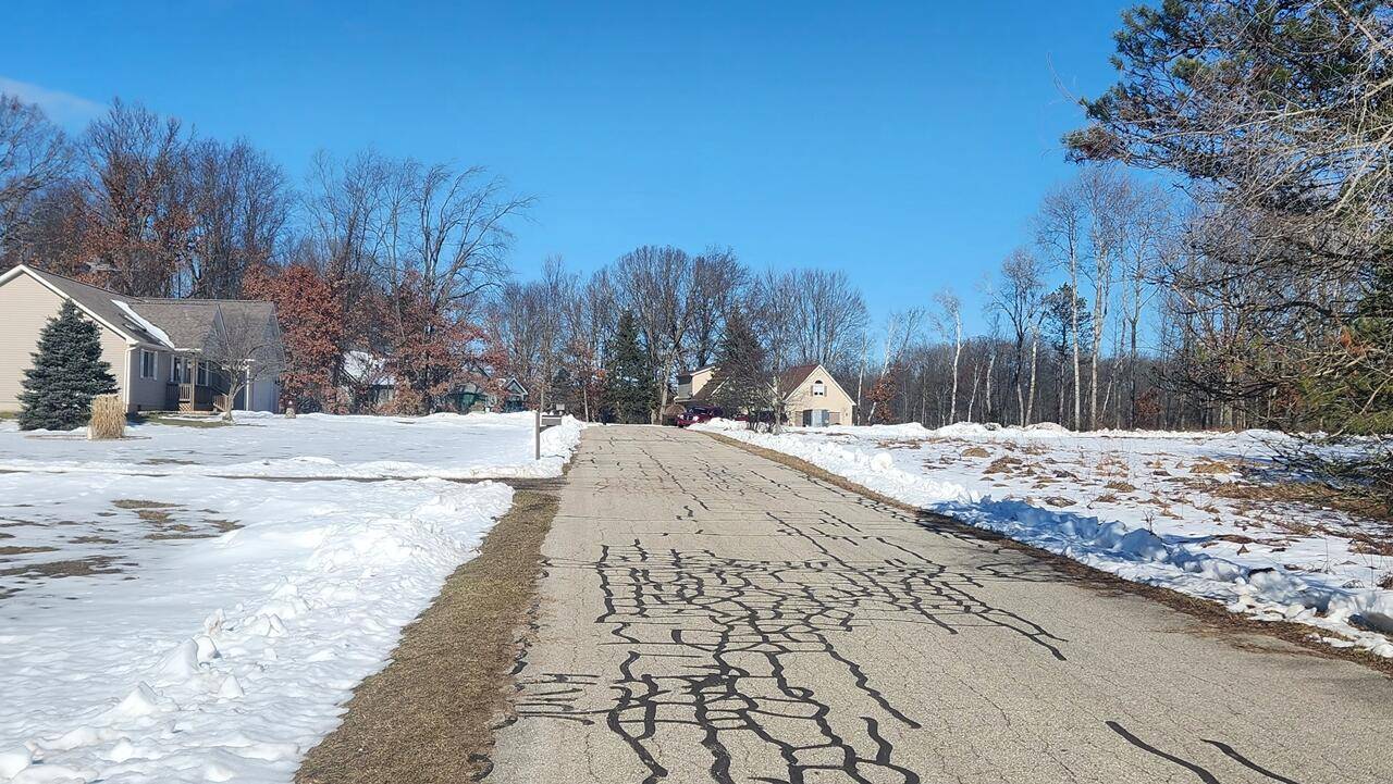 Canadian Lakes, MI 49346,11801 Tanglewood S Trail