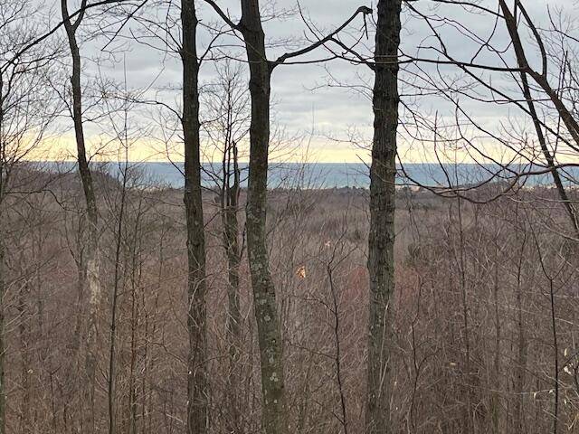 Mears, MI 49436,Silver Vista #lot 2