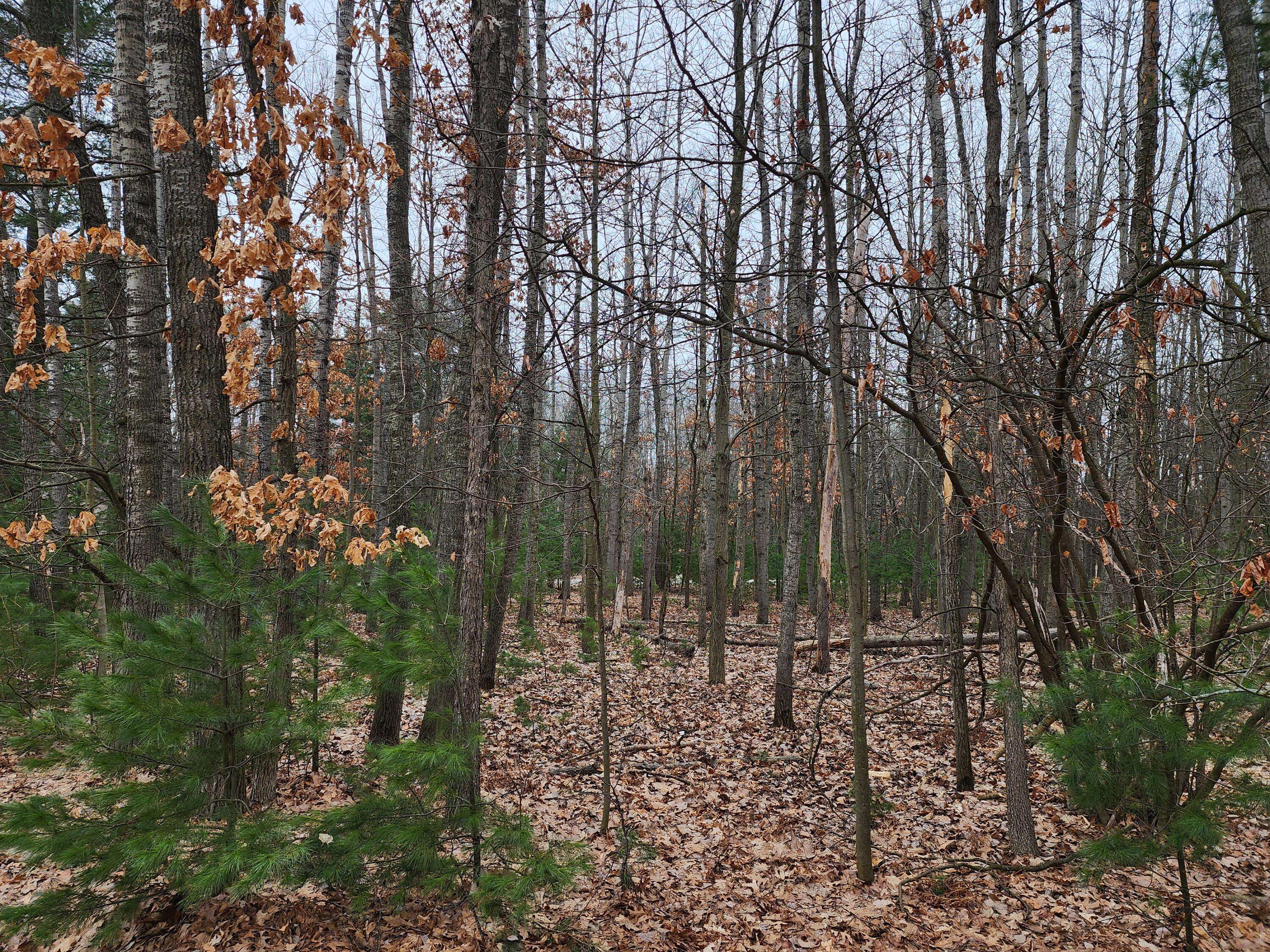 Canadian Lakes, MI 49346,9090 Longview Drive