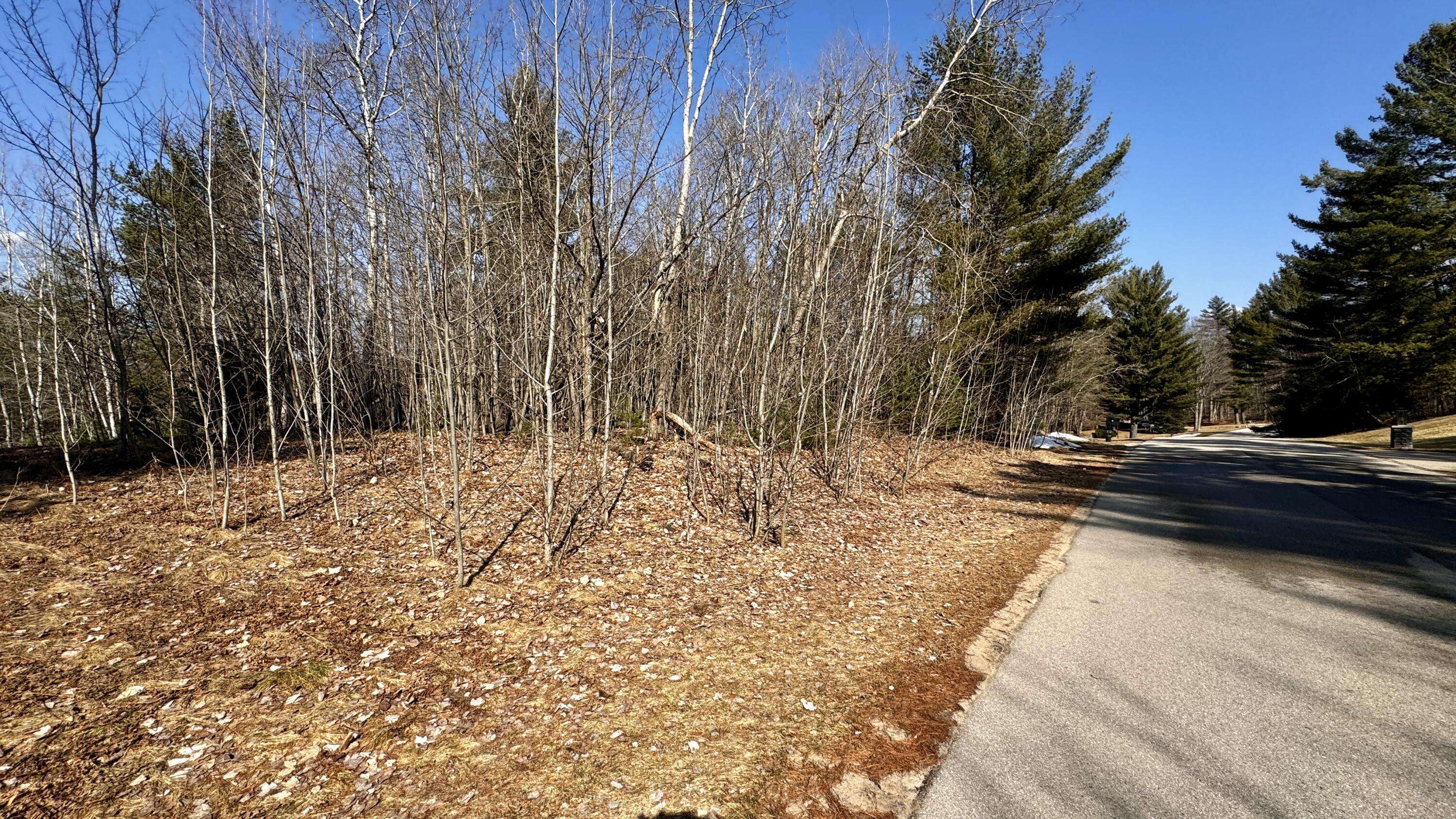 Cadillac, MI 49601,Lot 29 White Pine Drive