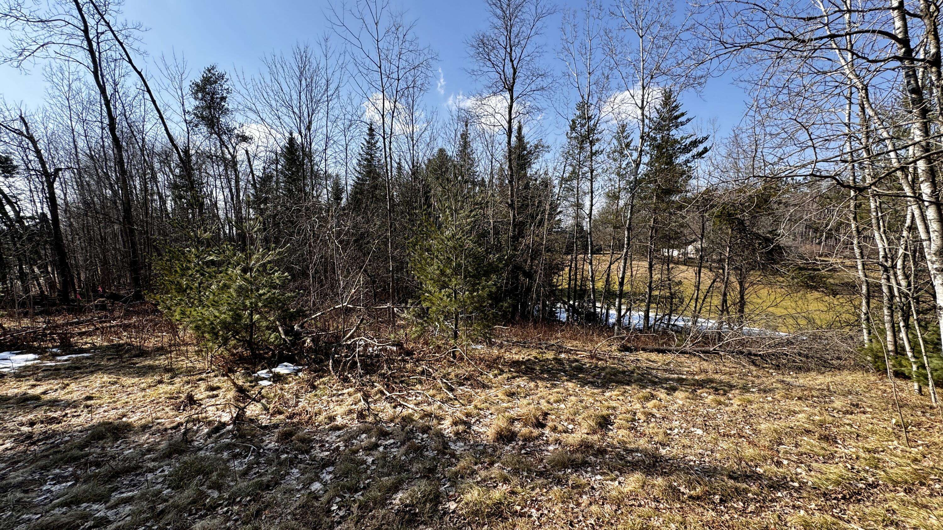 Cadillac, MI 49601,Lot 30 White Pine Drive