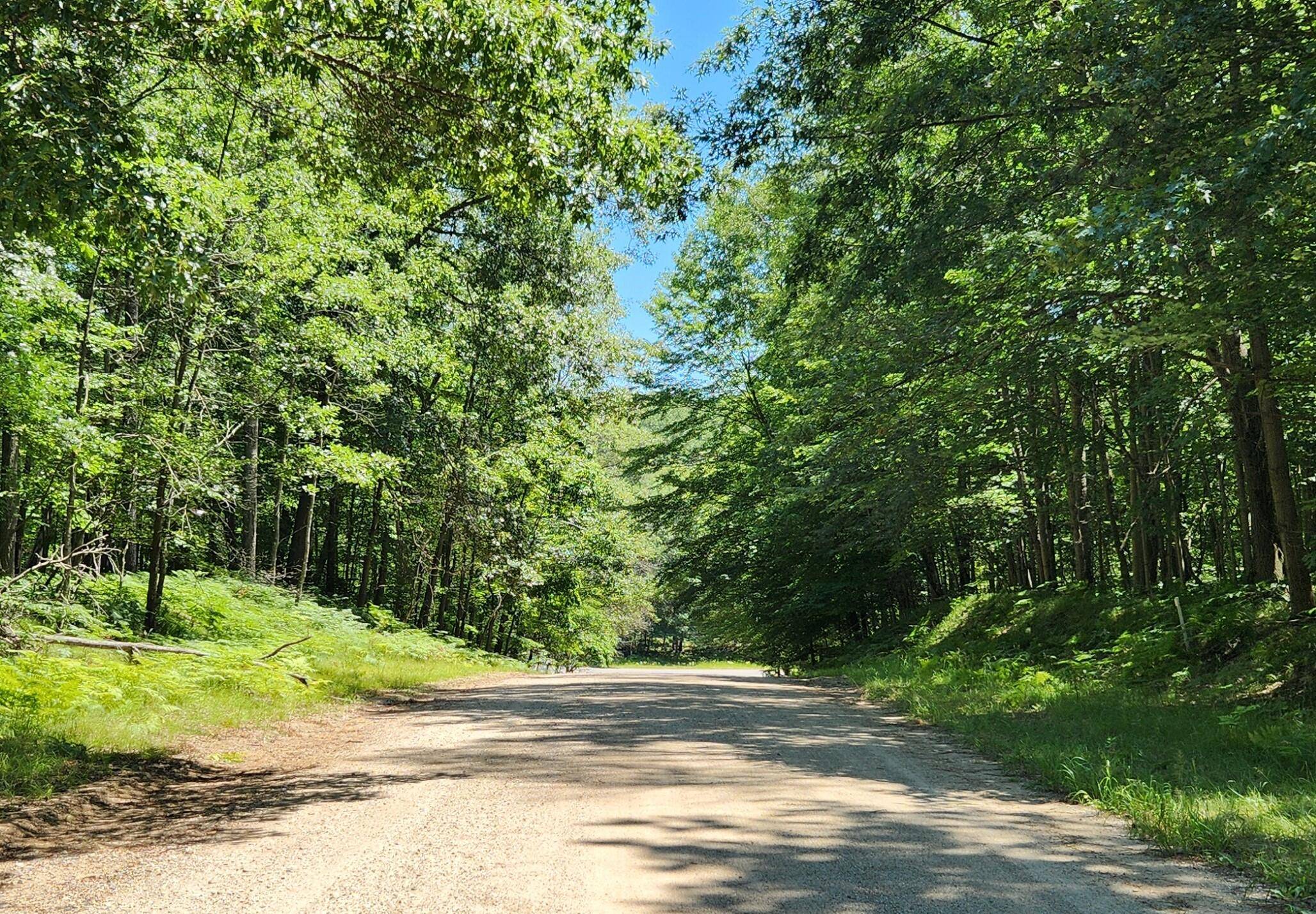 Canadian Lakes, MI 49346,12383 Sundance Drive