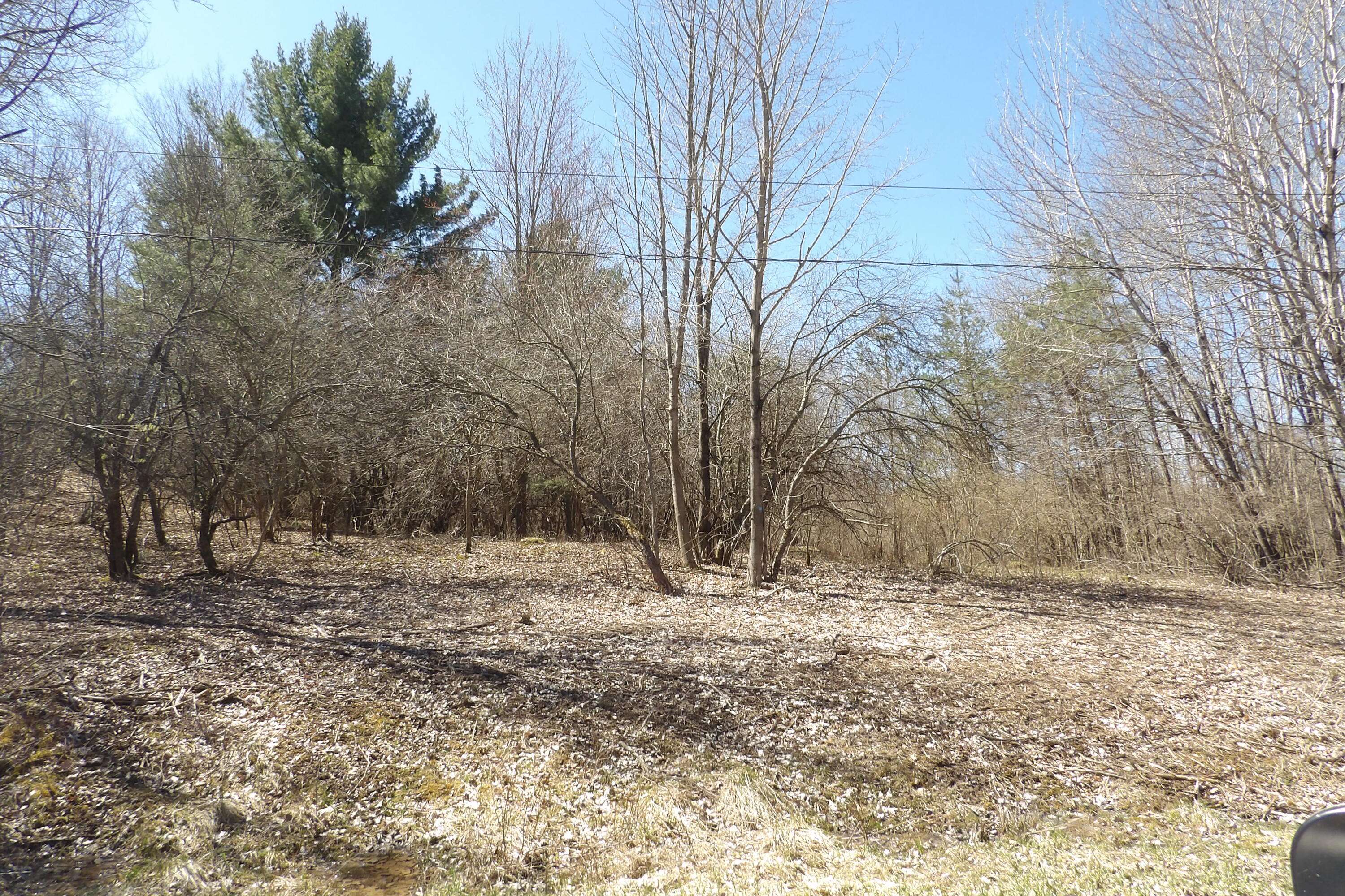 Evart, MI 49631,23094 Apache Trail