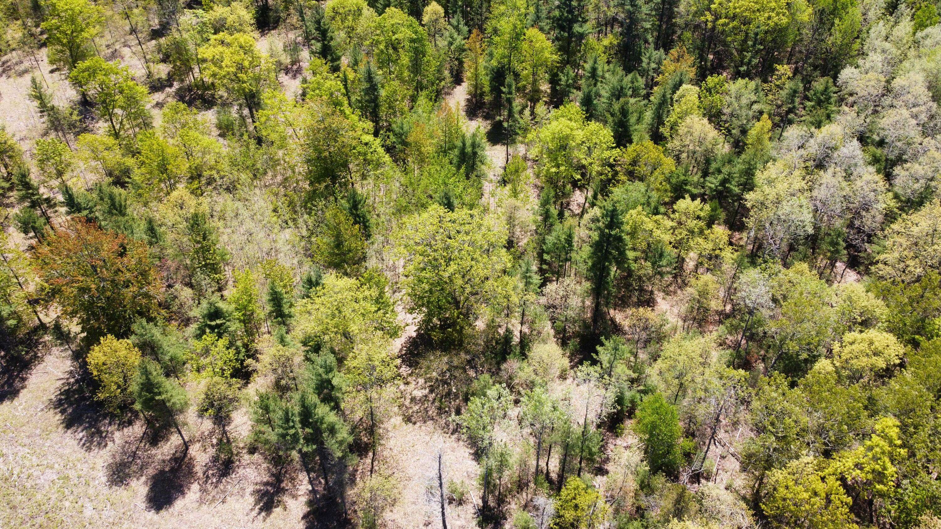 Manistee, MI 49660,Red Apple Road