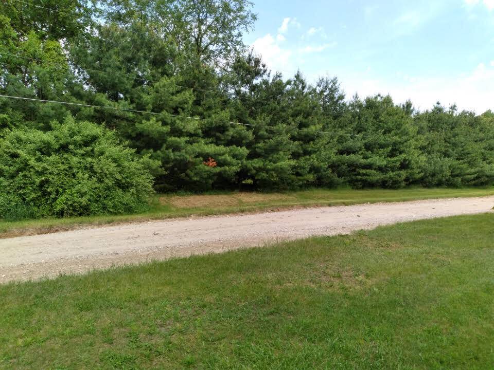 Pinckney, MI 48169,17130 Rose Hill