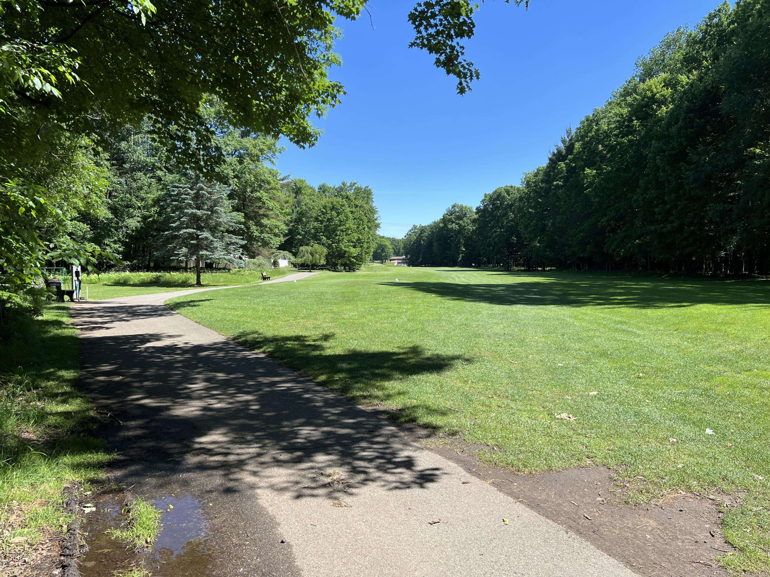 Canadian Lakes, MI 49346,6728 Beechnut Ridge