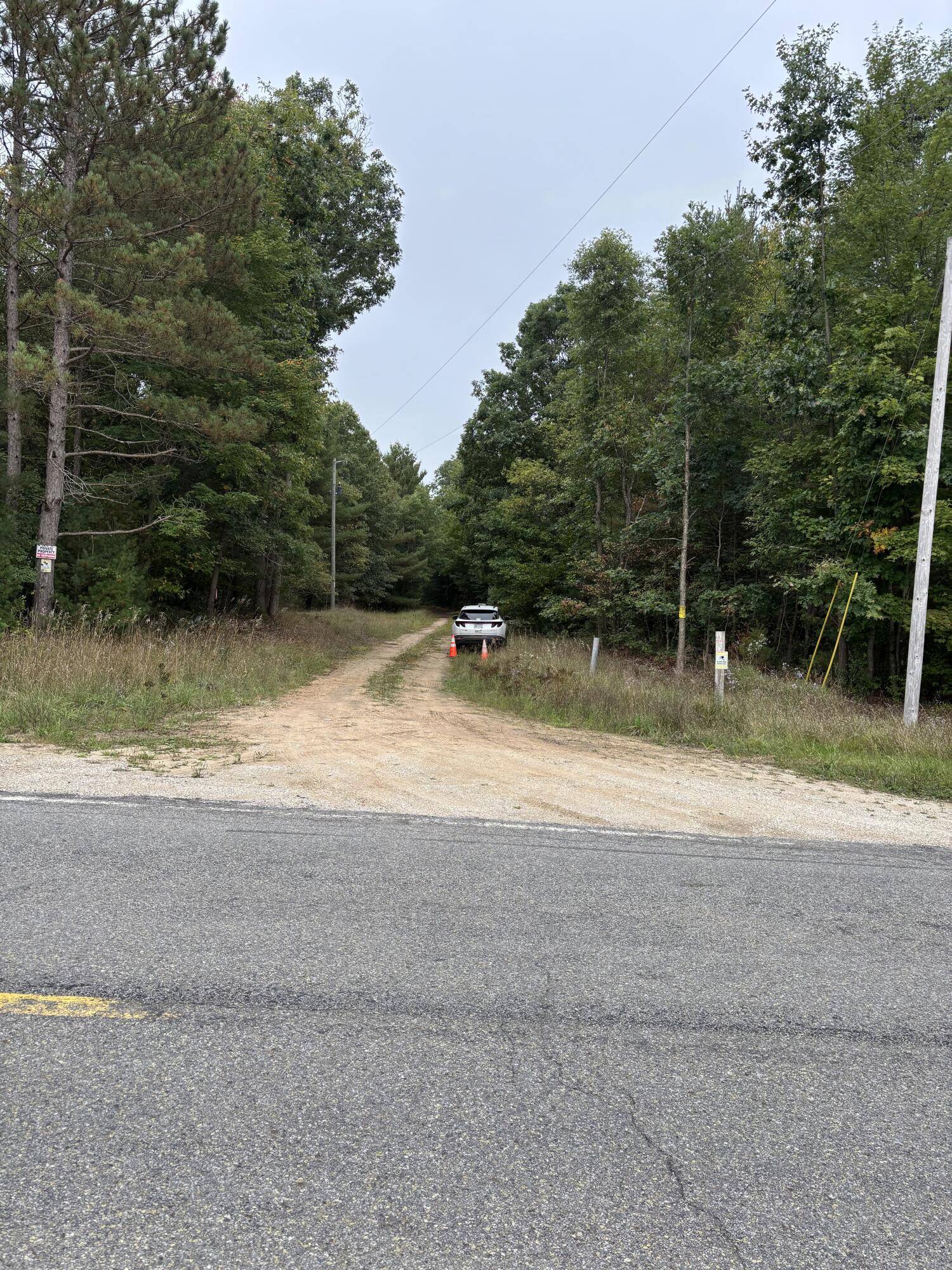 Free Soil, MI 49411,E Freesoil Road #40 acres