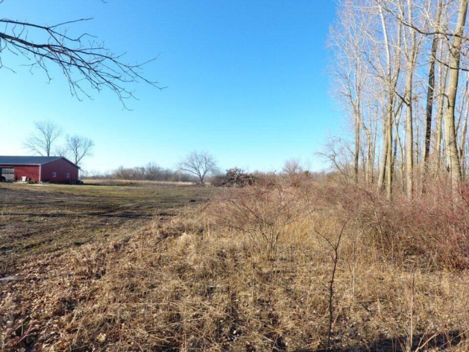 Maple Rapids, MI 48853,TBD E Main Street