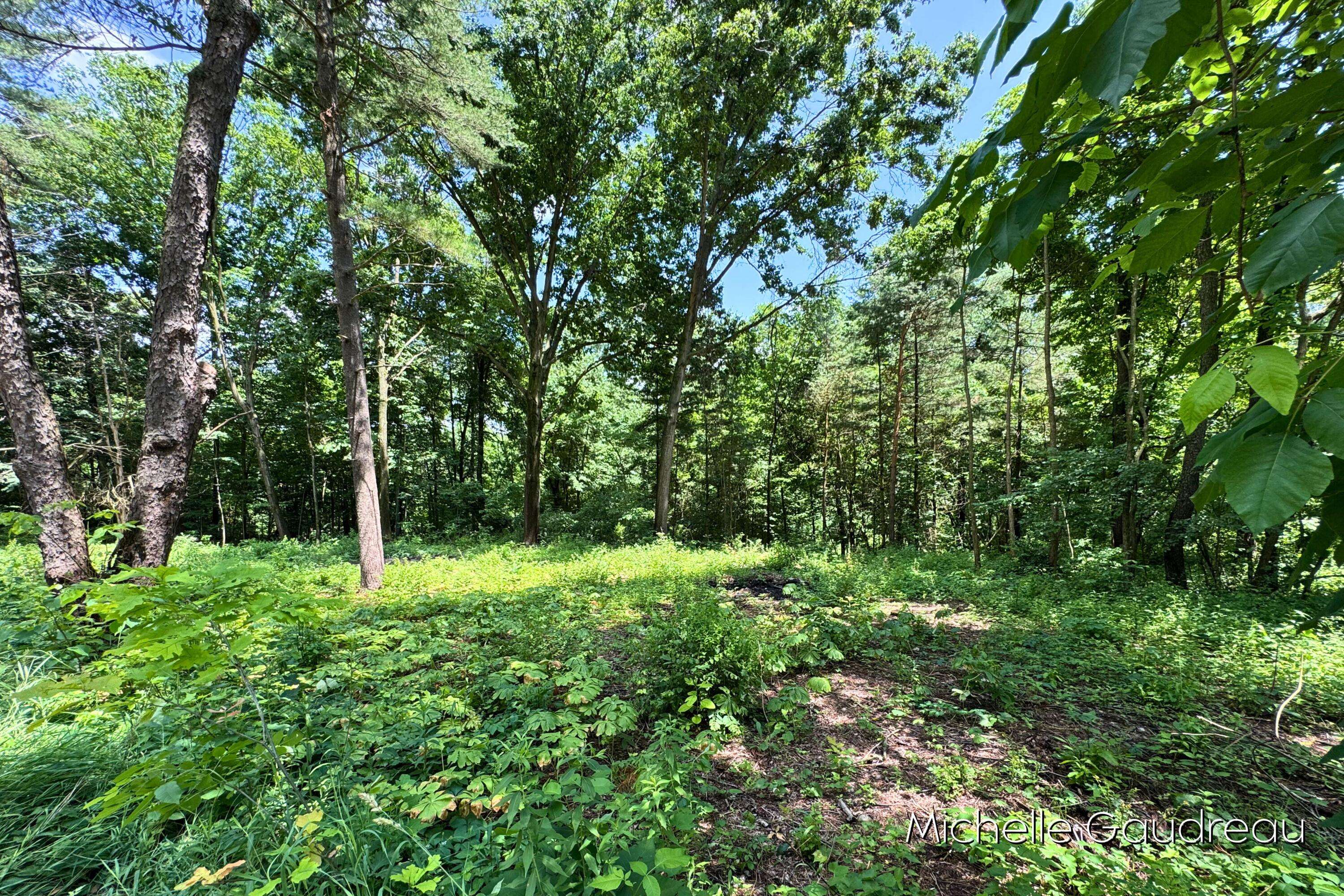 Hastings, MI 49058,VL W Irving Road
