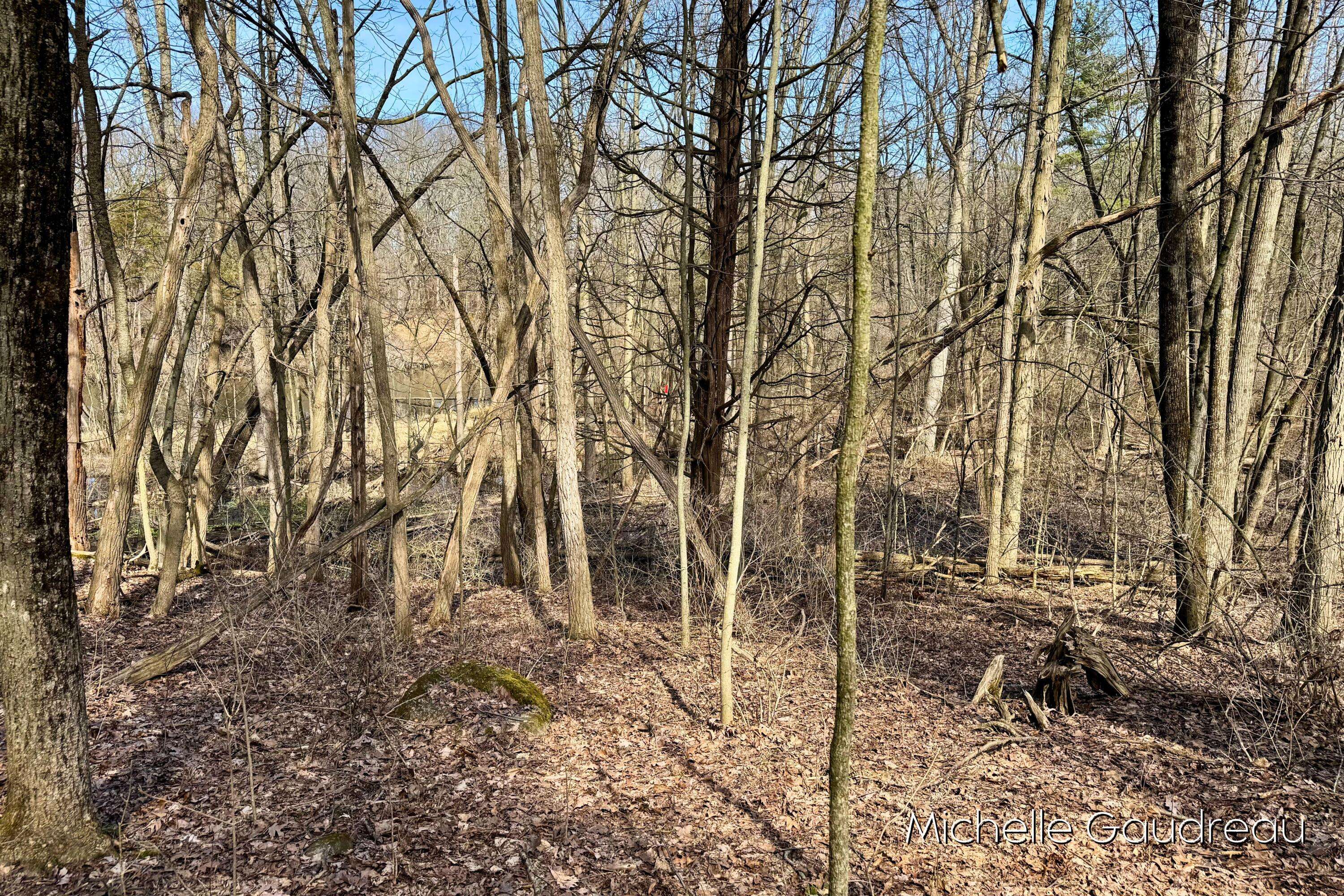 Hastings, MI 49058,VL W Irving Road