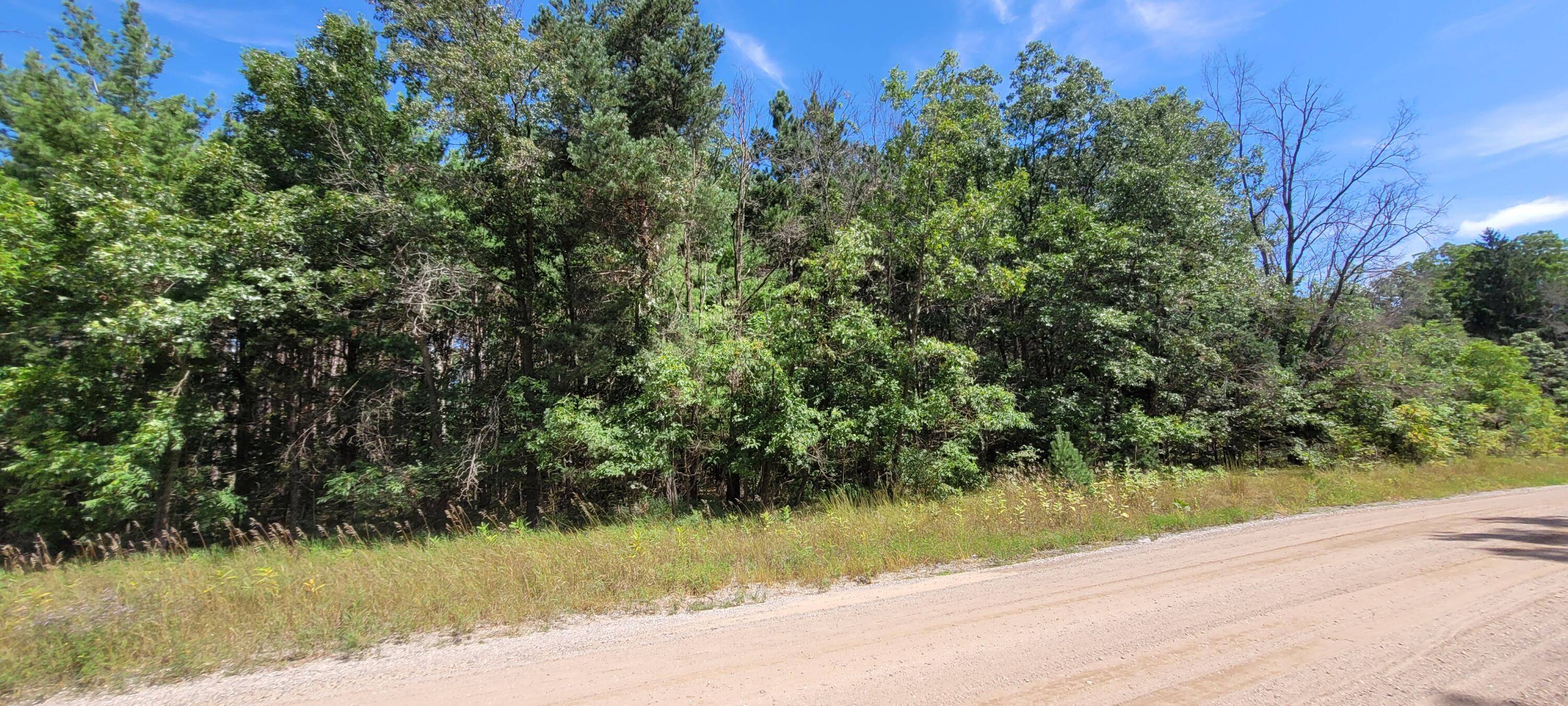 White Cloud, MI 49349,V/L Pine Hill
