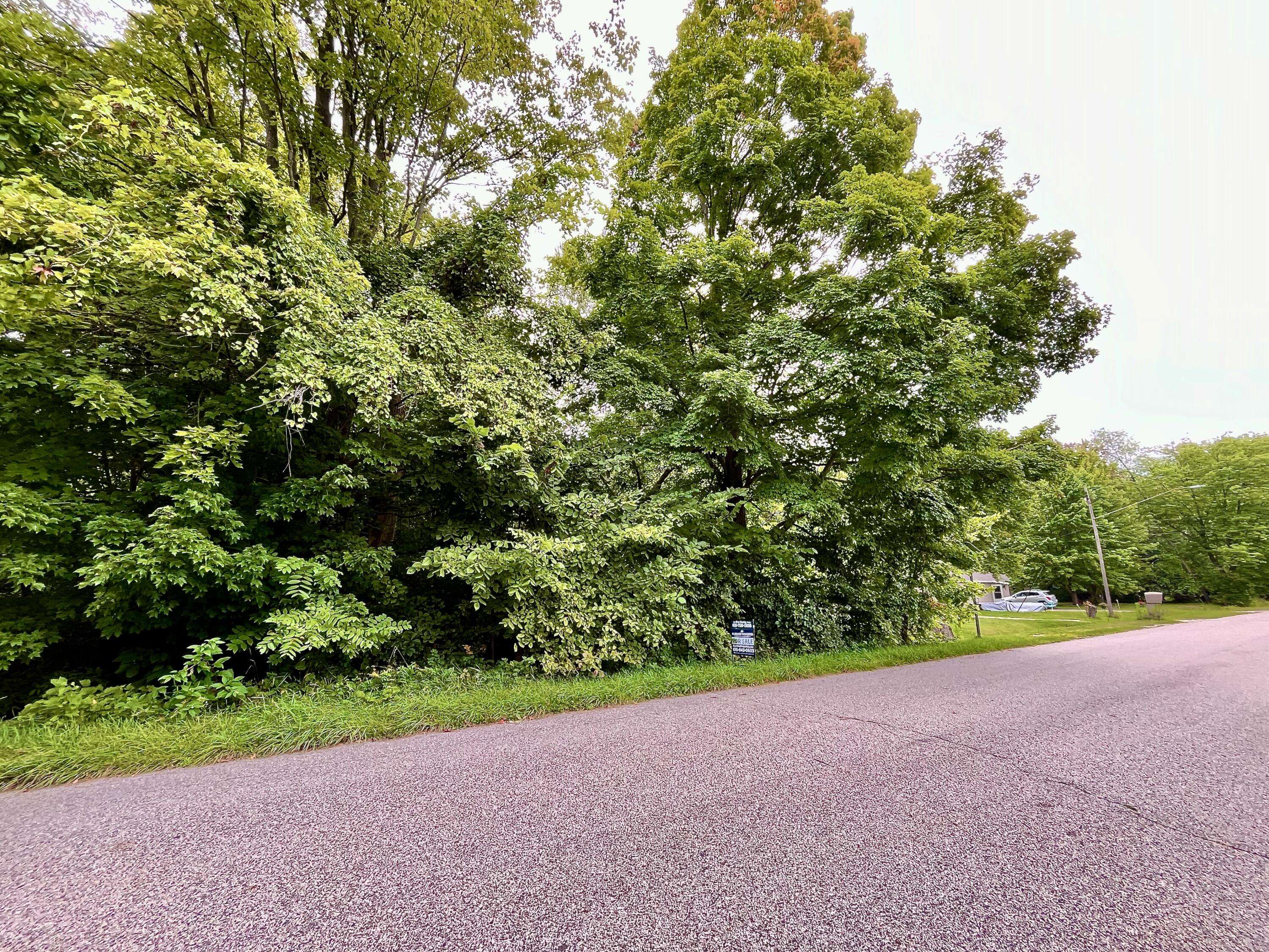 Fruitport, MI 49415,0 S Brooks Road #lot 2-B