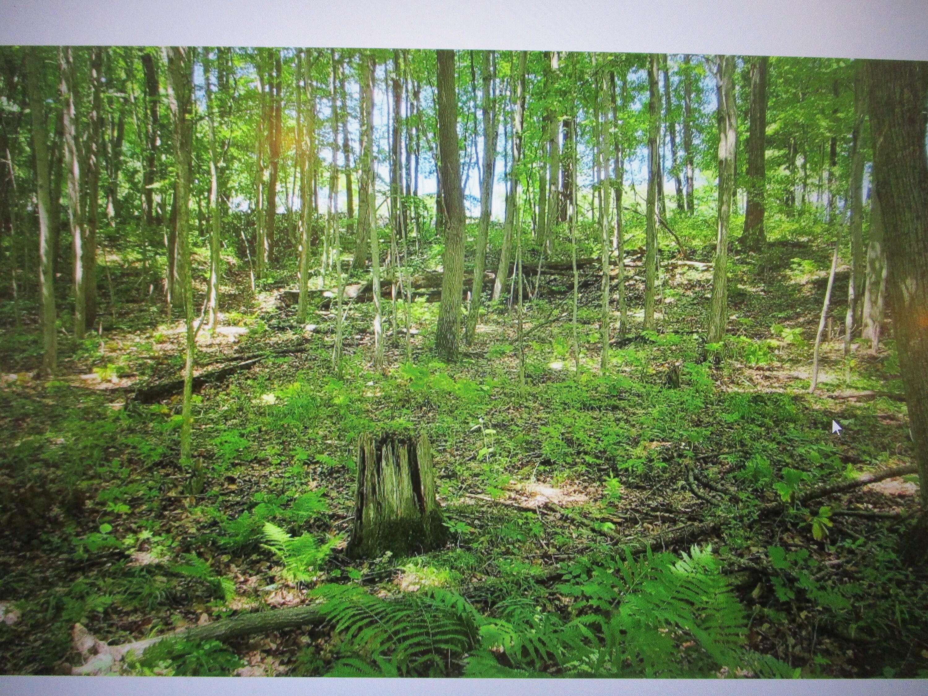 Gowen, MI 49326,13478 Windy Craig NE Drive