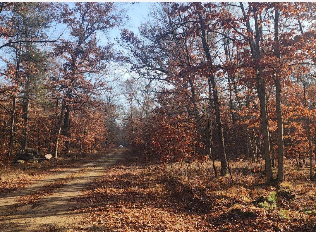 Idlewild, MI 49642,592 E Bloomington