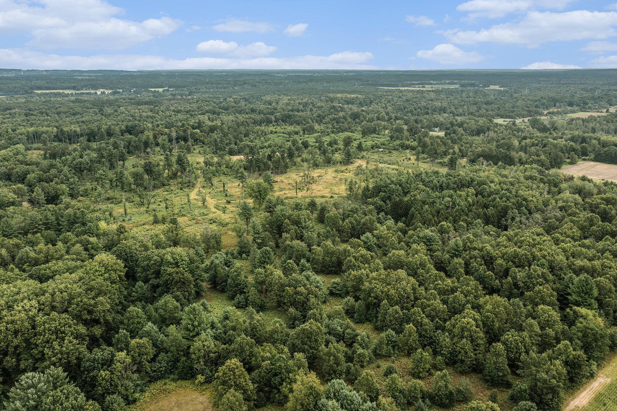 Hart, MI 49420,30 Acres Eagle Road