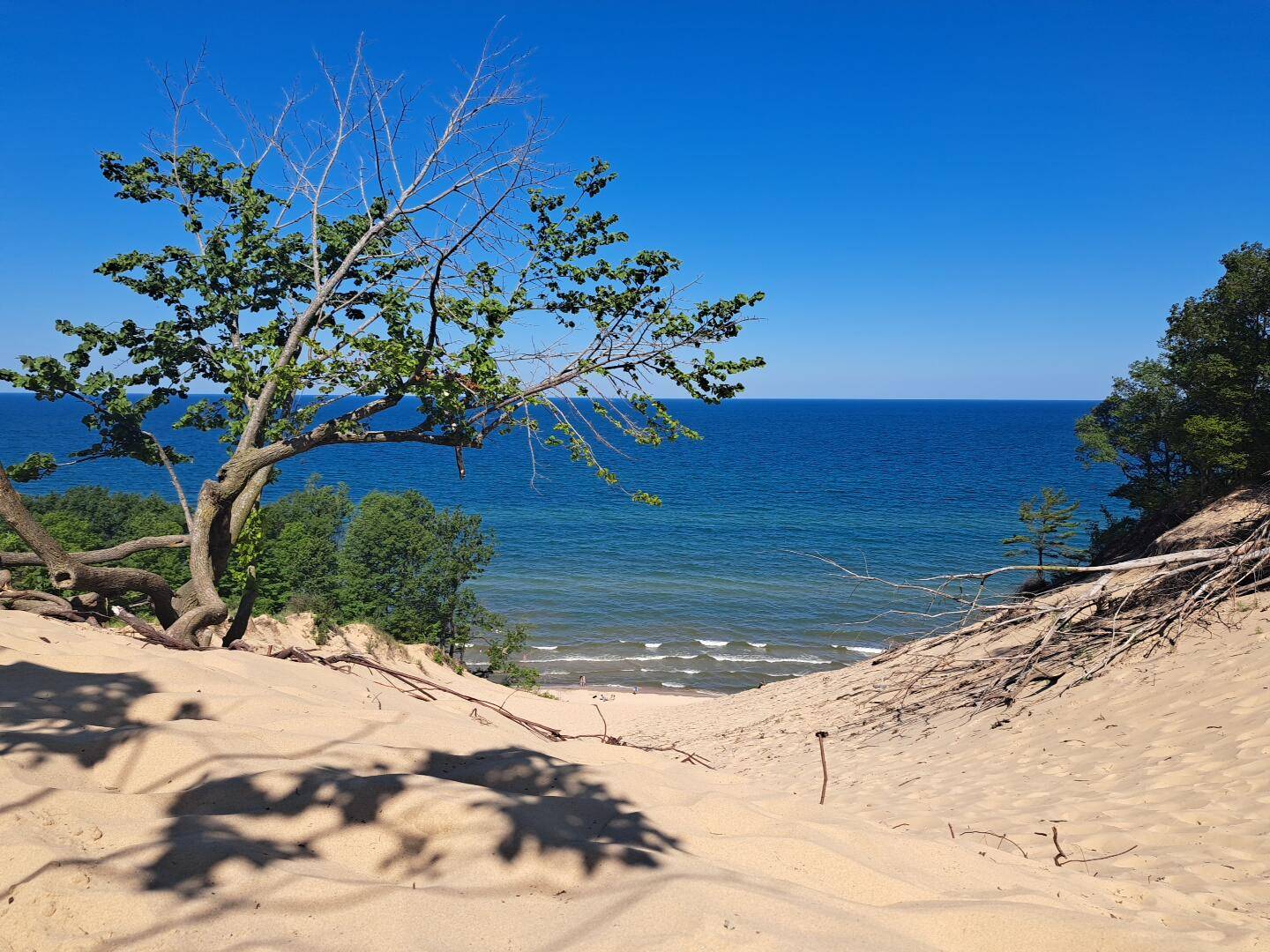 South Haven, MI 49090,19118 77th Street