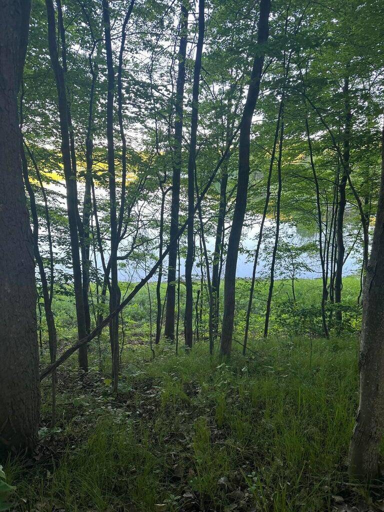 Reed City, MI 49677,Lot 302 Alpine Drive