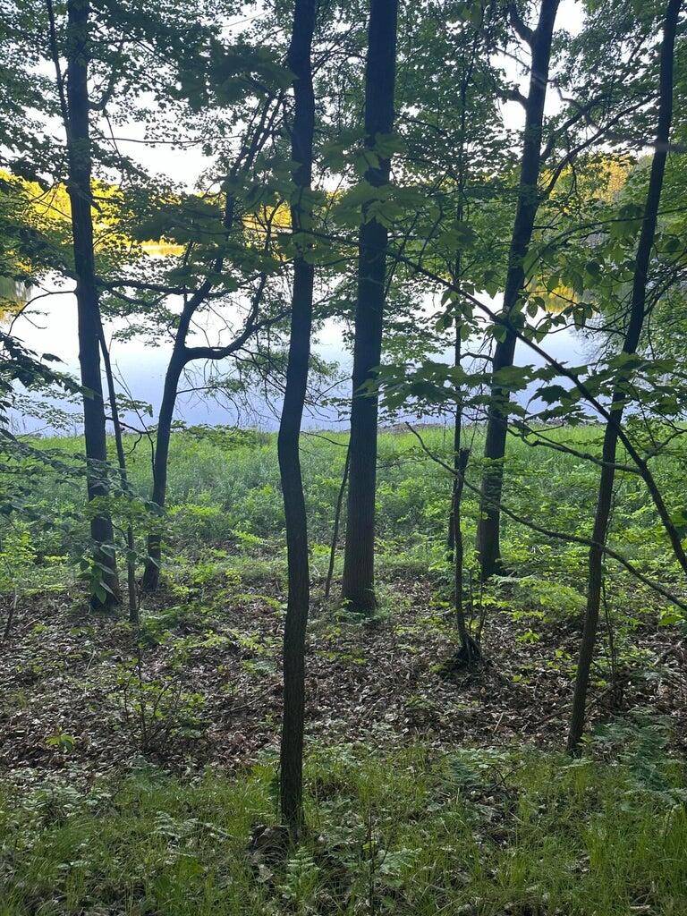 Reed City, MI 49677,Lot 302 Alpine Drive