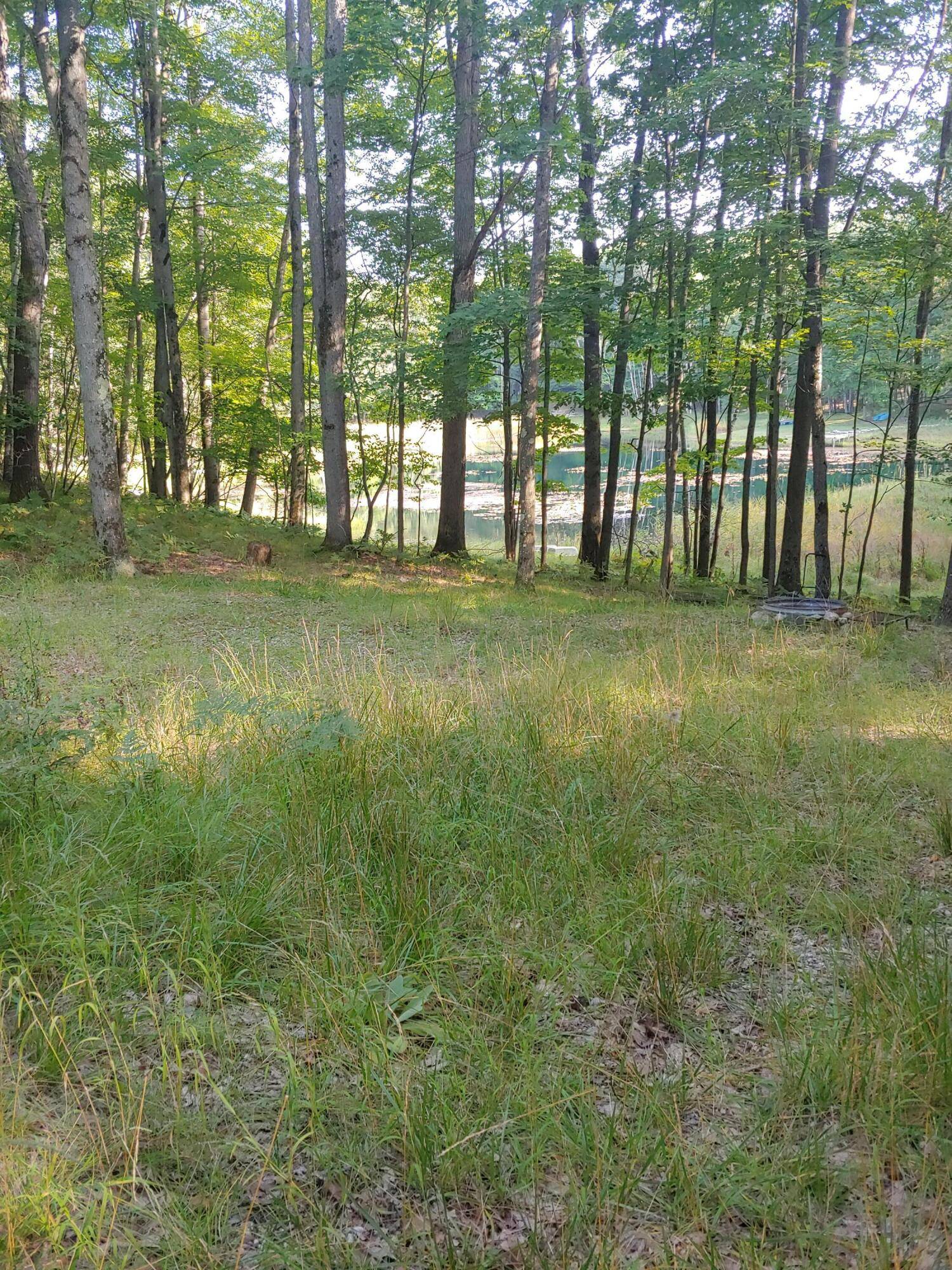 Farwell, MI 48622,1631 Laurel Lane