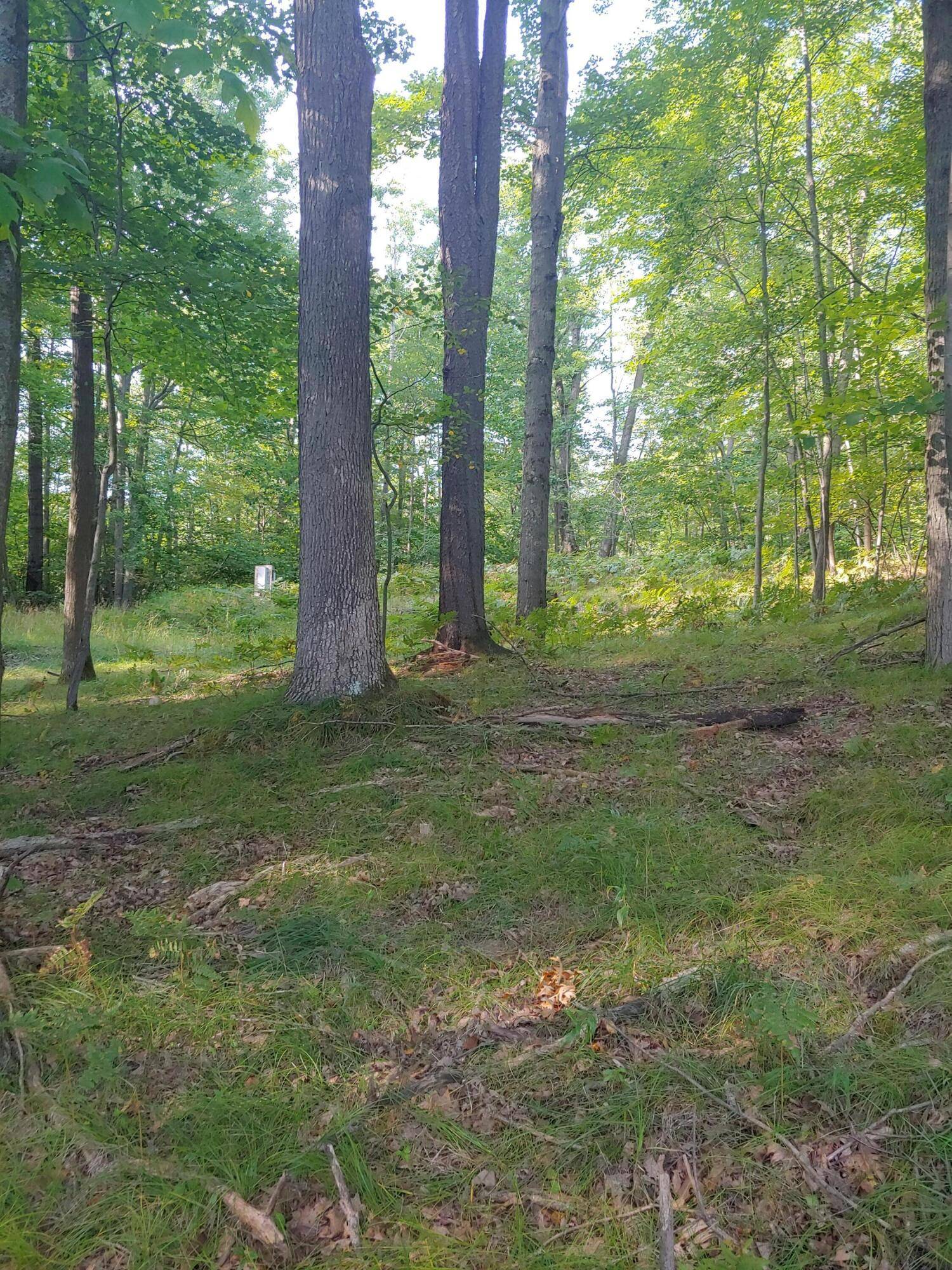 Farwell, MI 48622,1631 Laurel Lane