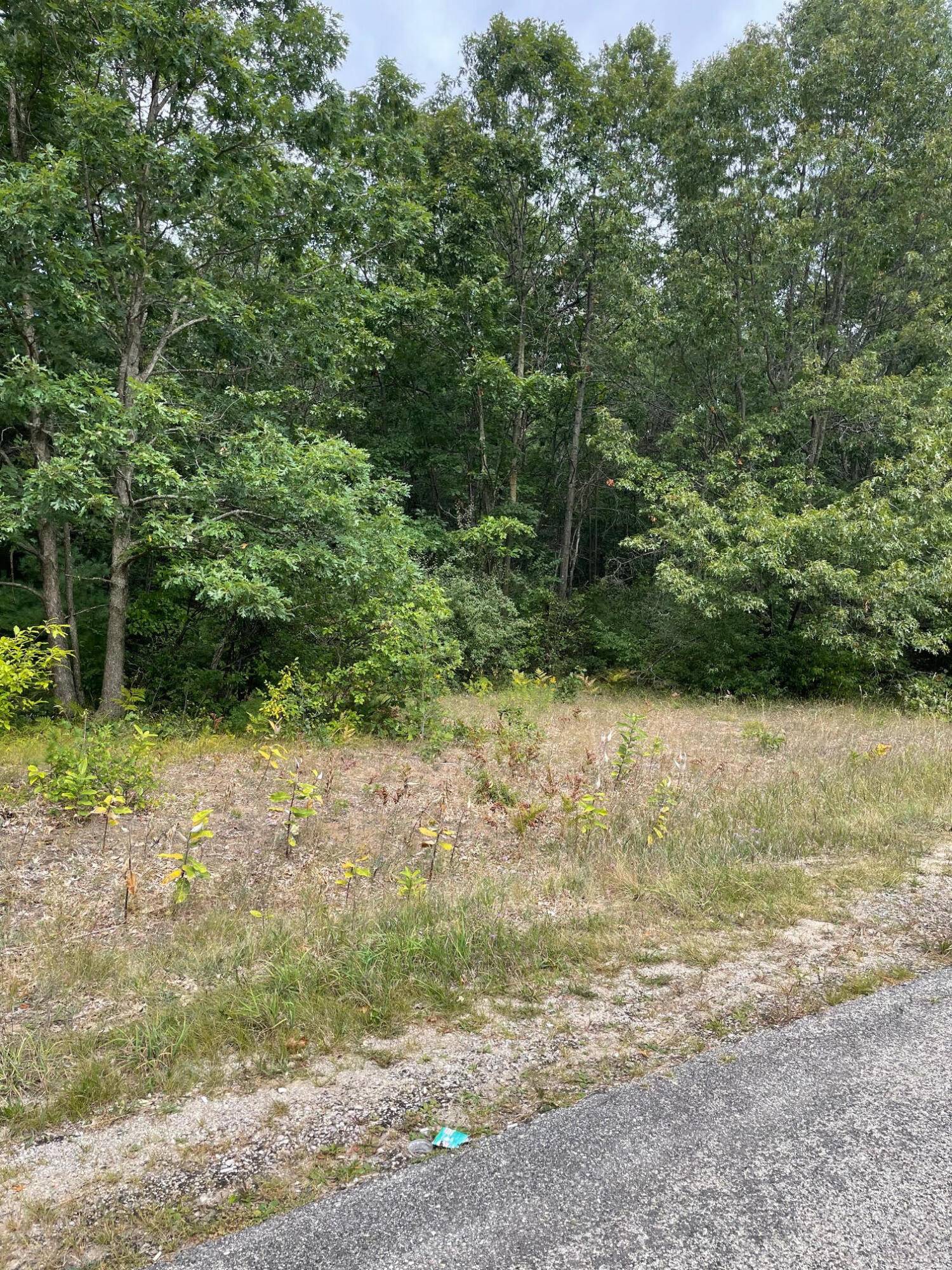 Manistee, MI 49660,Lot 1 Renaissance Park