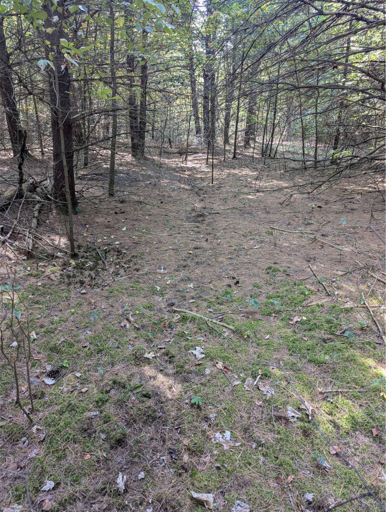 Fennville, MI 49408,5330 118th Avenue