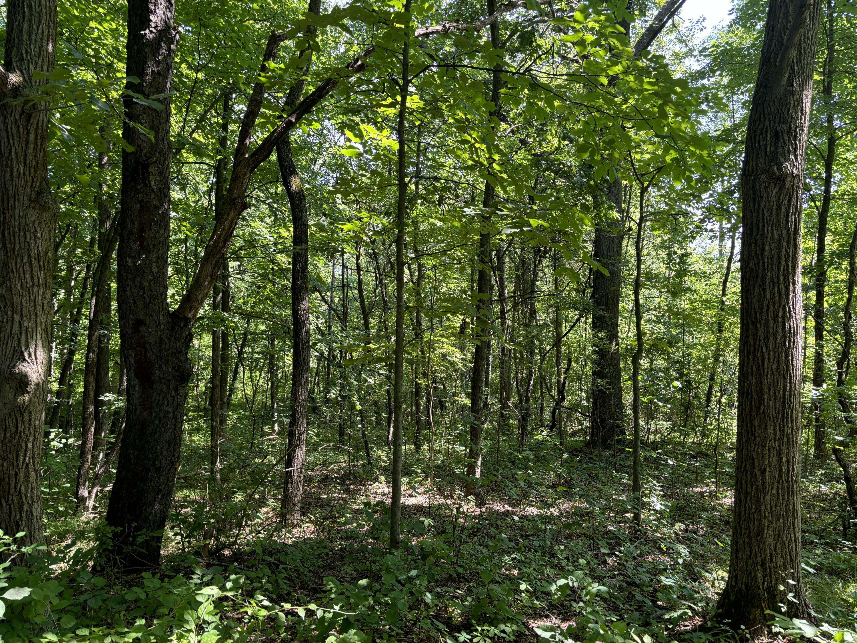 Davisburg, MI 48350,11550 Davisburg Rd Road