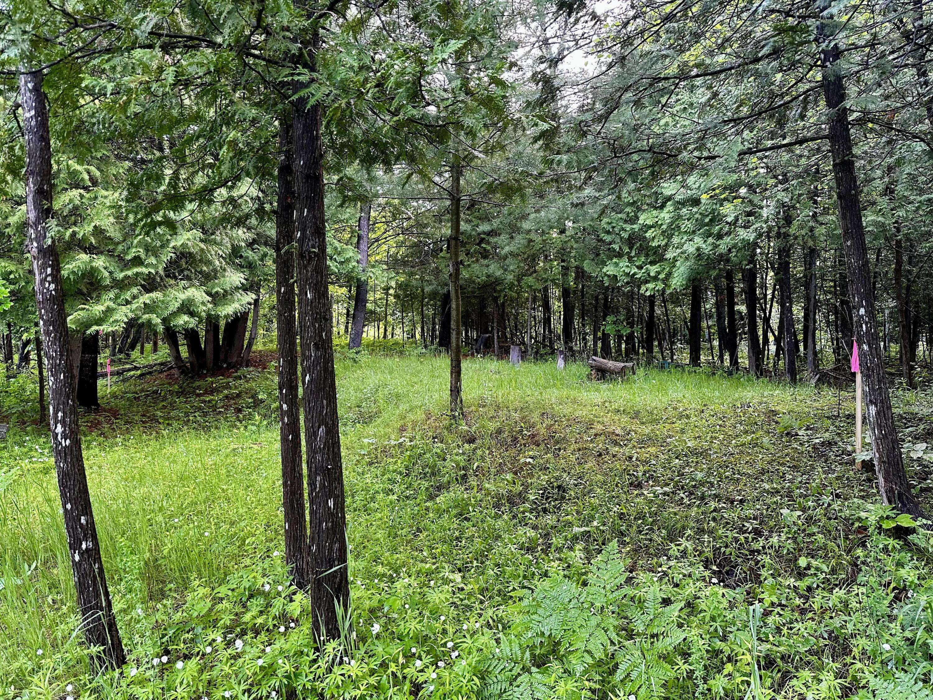 Thompsonville, MI 49683,Lot 16 Pine Meadows Drive