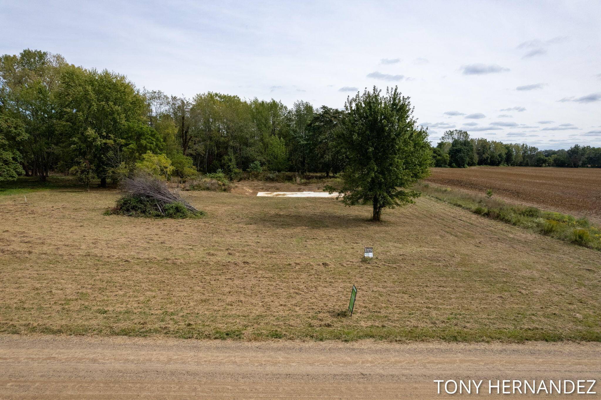 Fennville, MI 49408,Vacant Land 65th