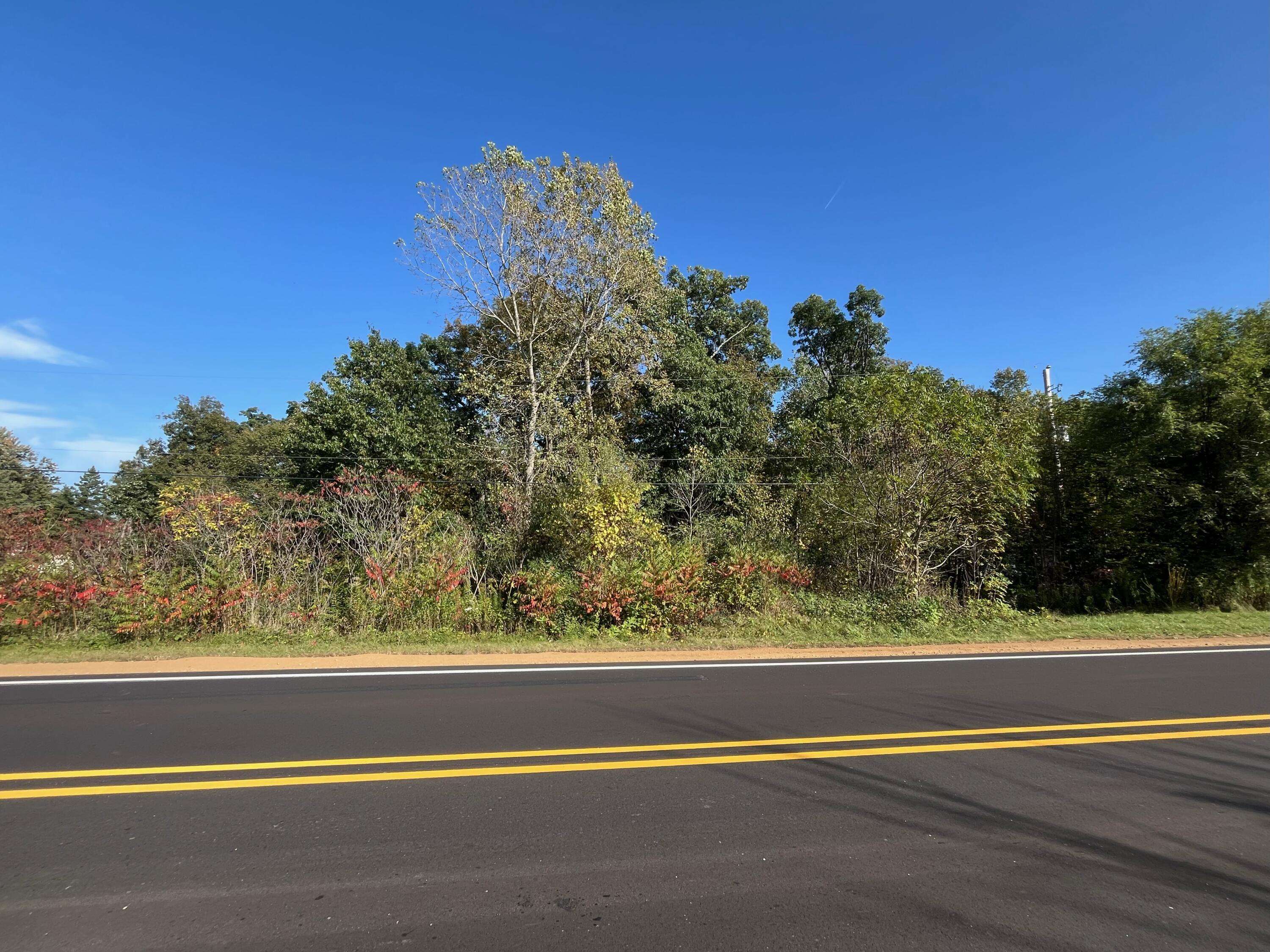 Jackson, MI 49201,VL Morrill Road