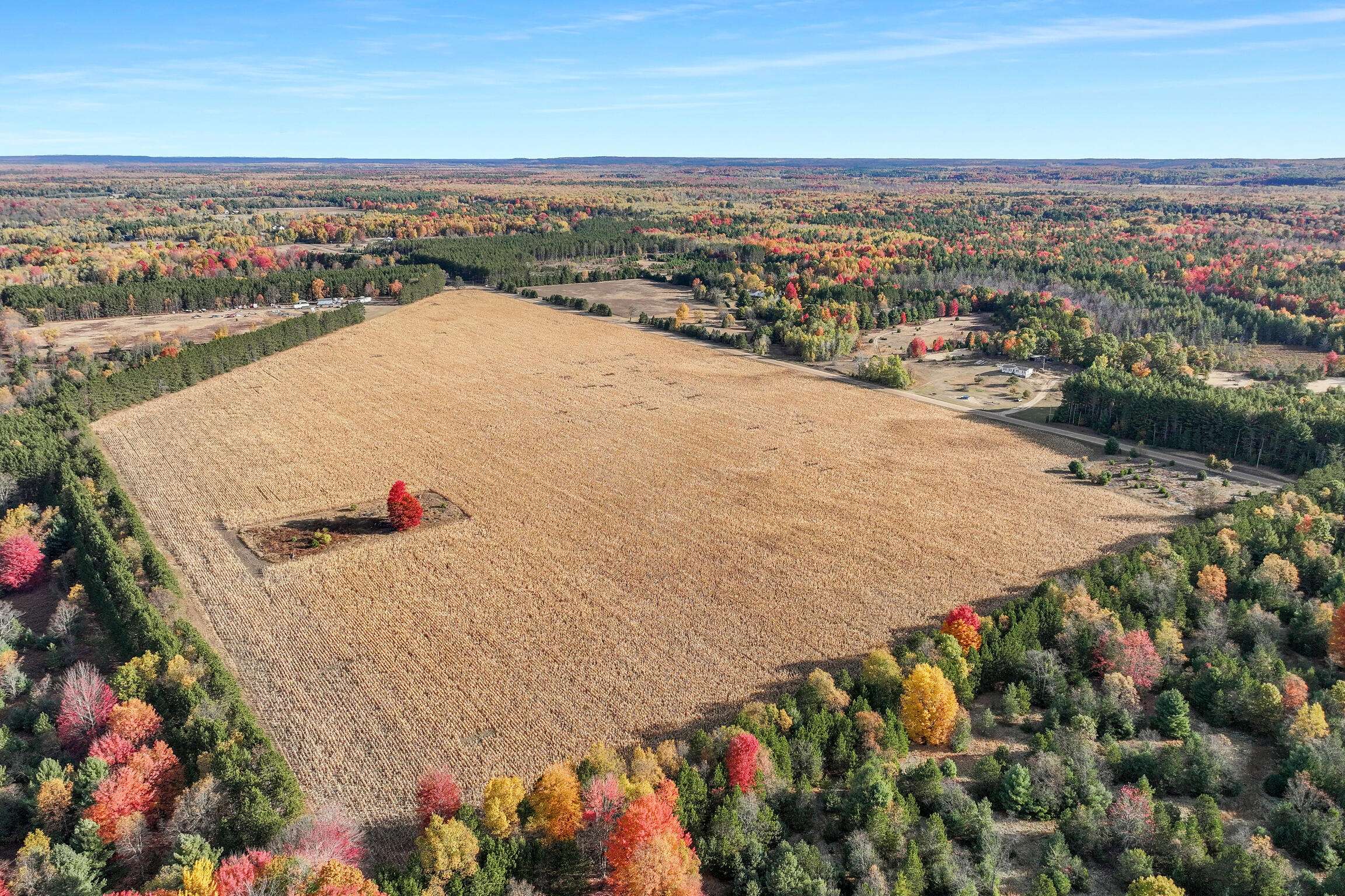 Kaleva, MI 49645,0 V/L  64 acres  Niemi Road