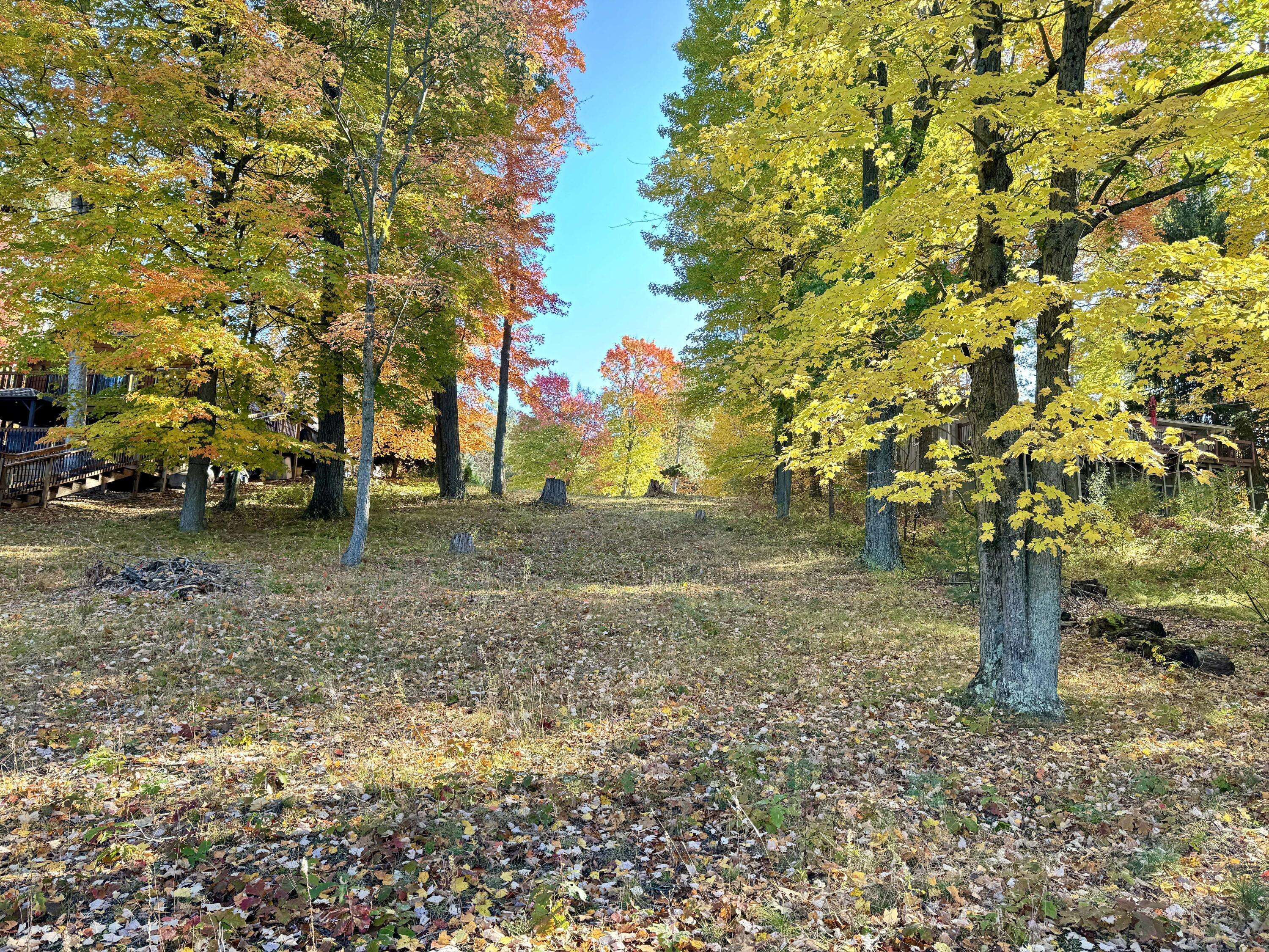 Stanwood, MI 49346,lot 8 Otahnagon Drive