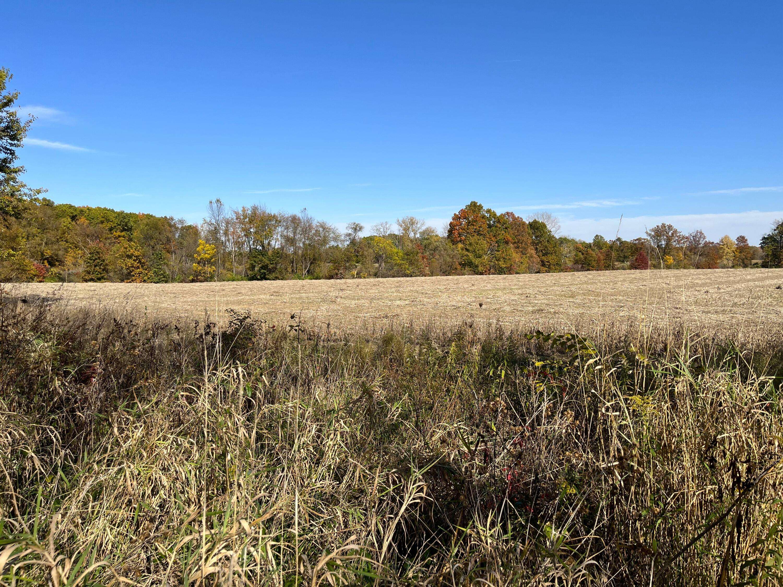 Cassopolis, MI 49031,Brick Church and Robinson