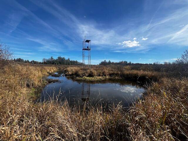 Luther, MI 49656,VL Twin Creek Road