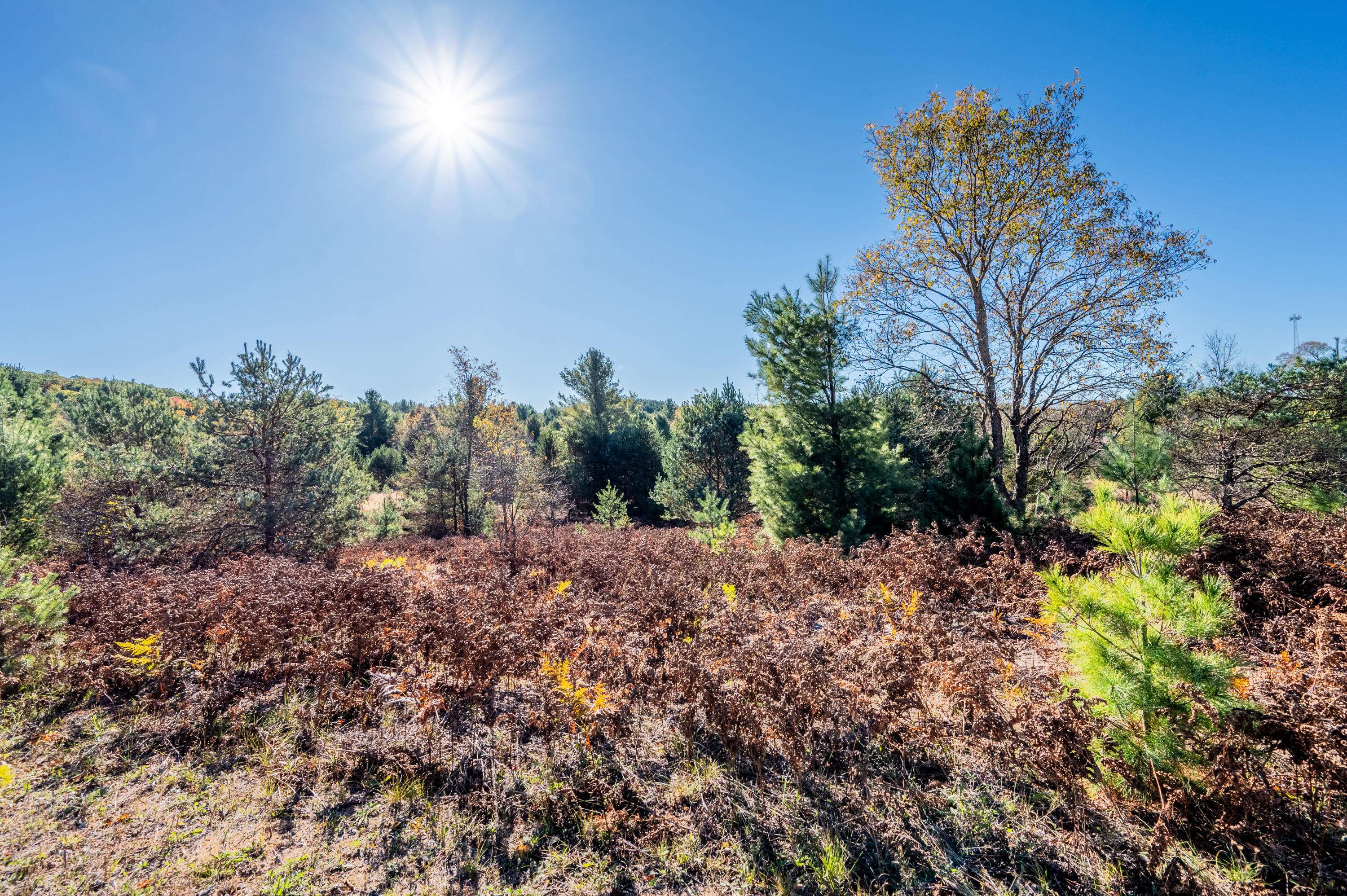 Cadillac, MI 49601,00 48 Rd #2