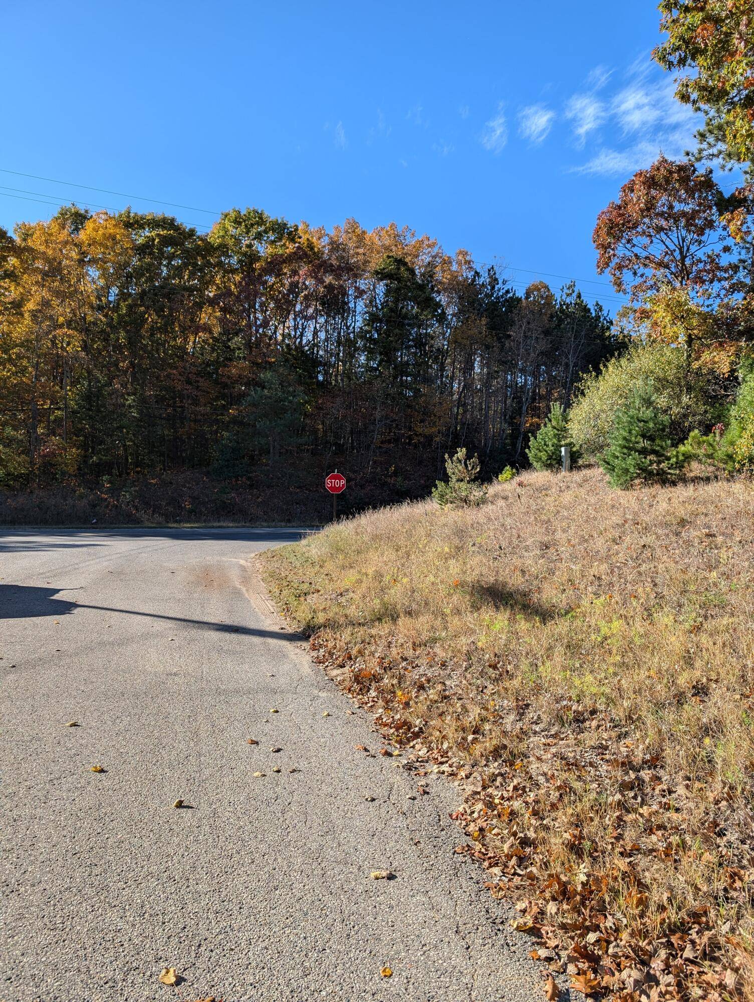 Ludington, MI 49431,Oakridge Drive