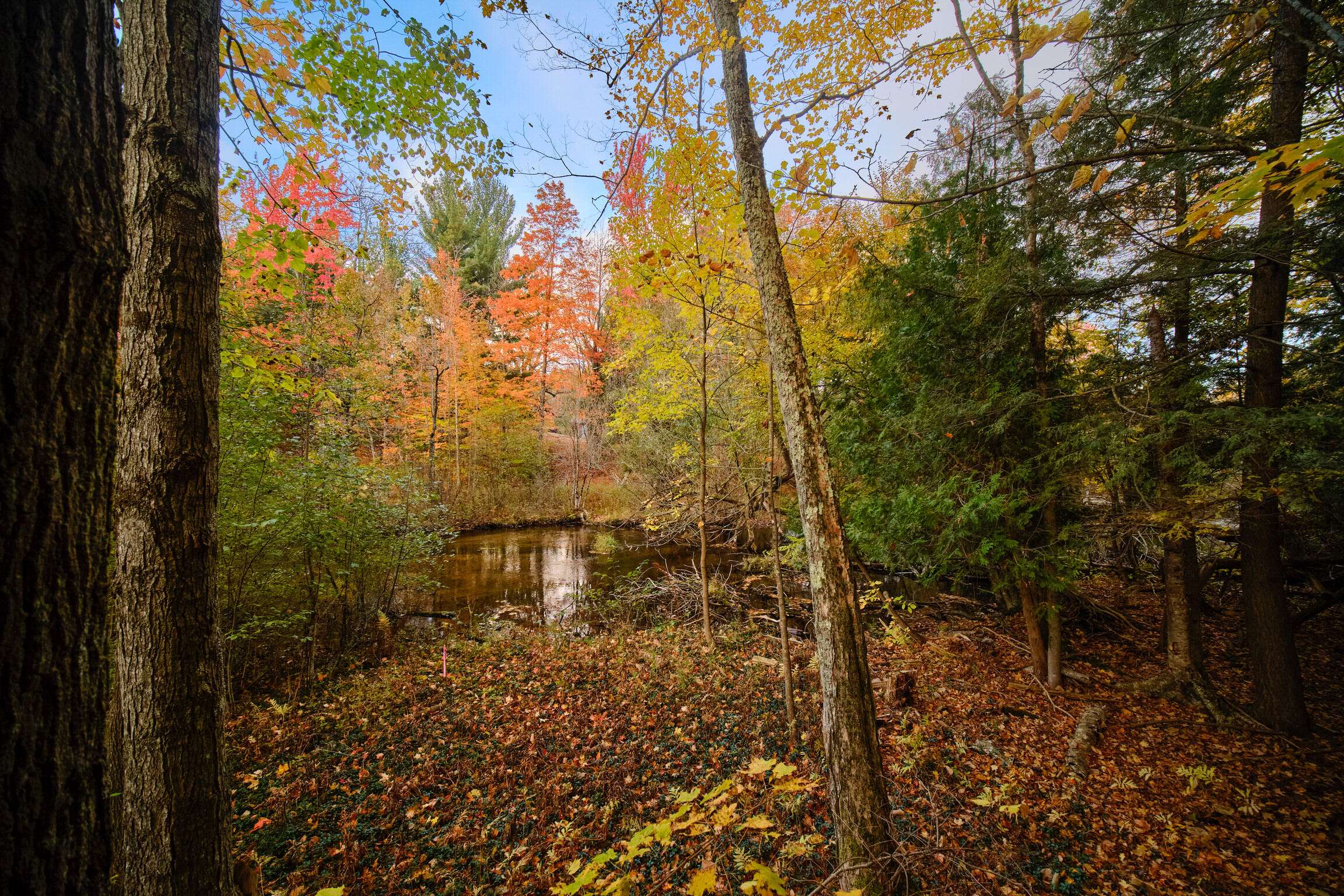 Bear Lake, MI 49614,15049 Healy Lake Road