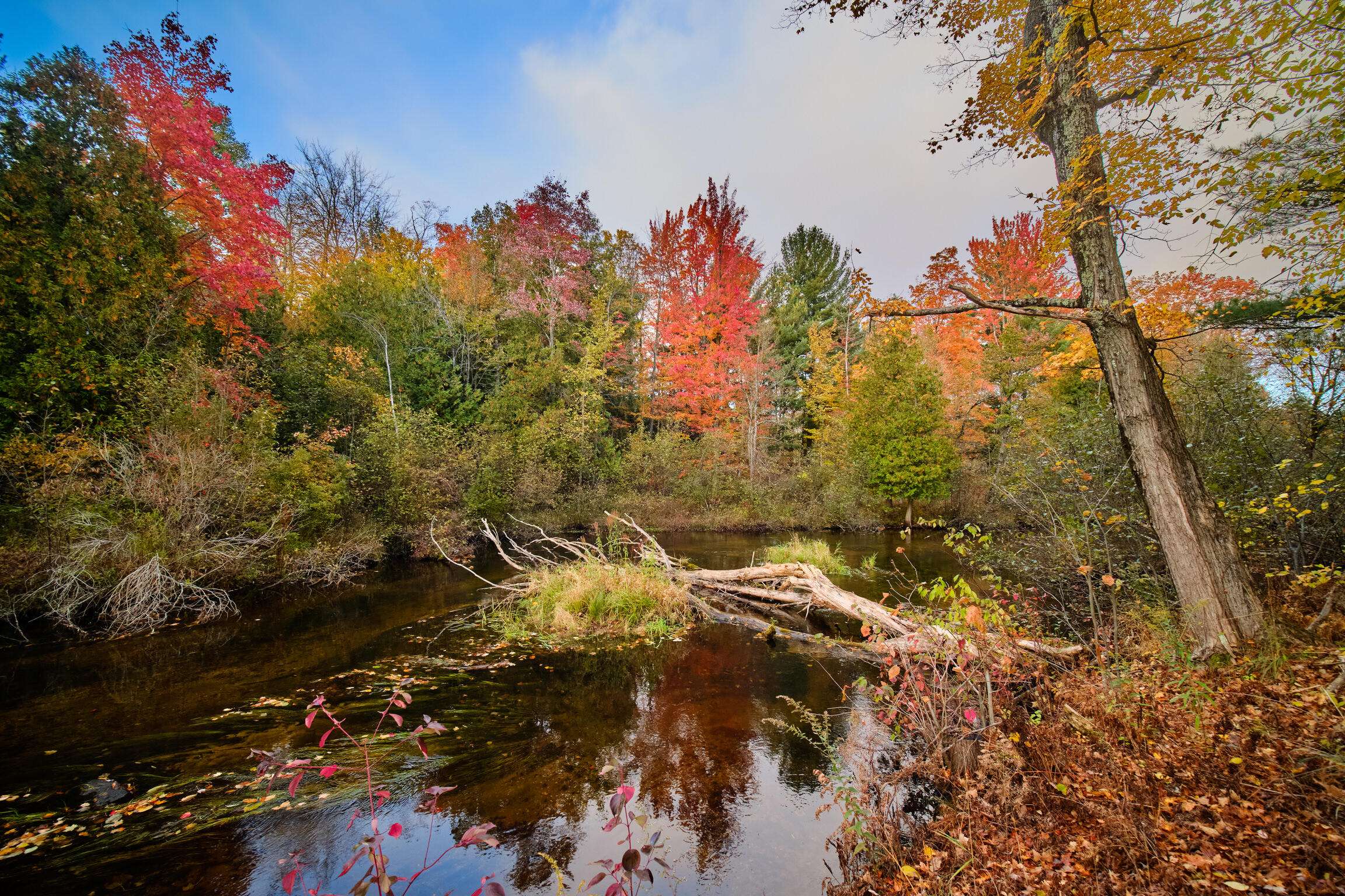 Bear Lake, MI 49614,15049 Healy Lake Road