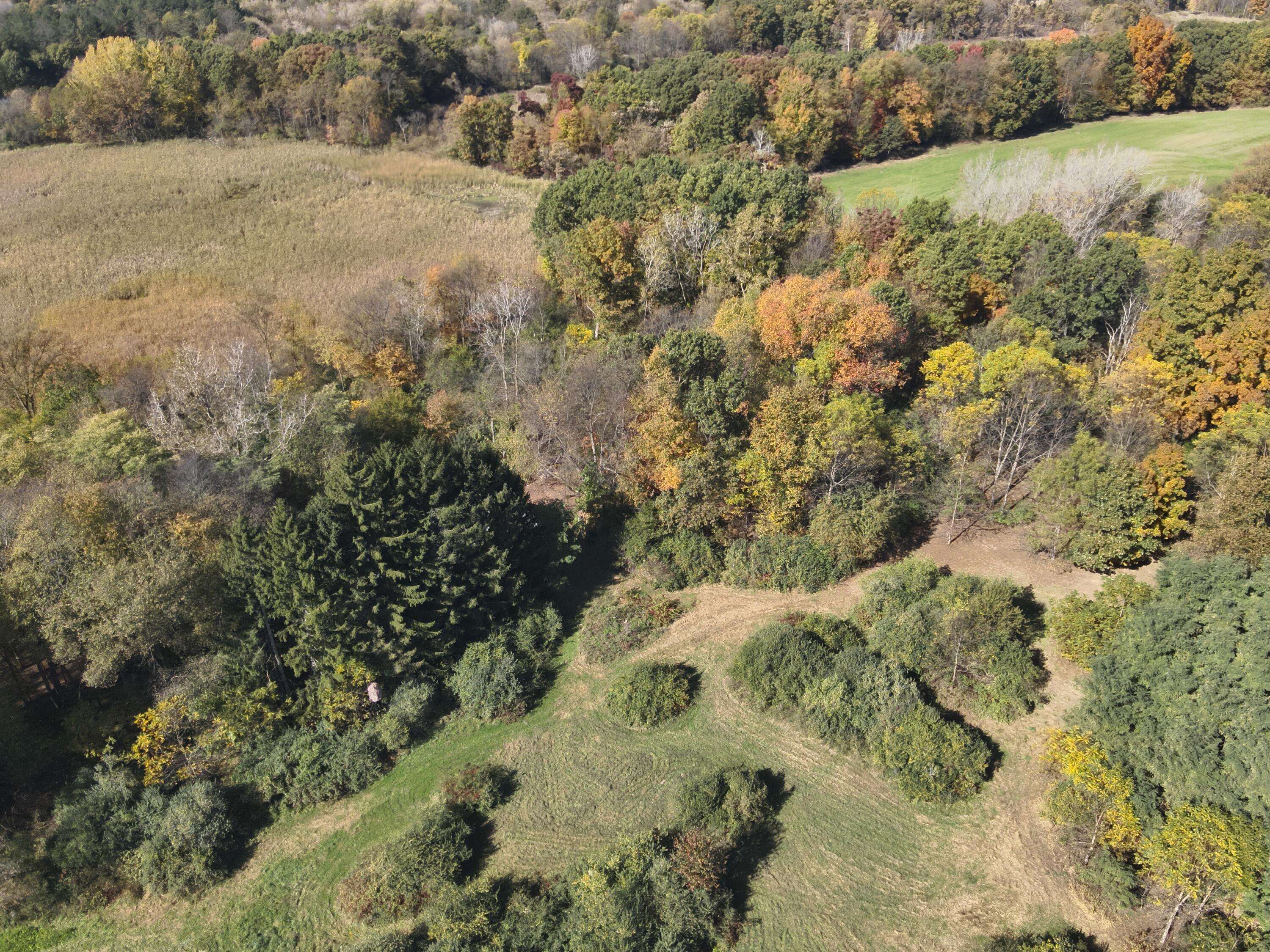 Munith, MI 49259,11800 Territorial Road