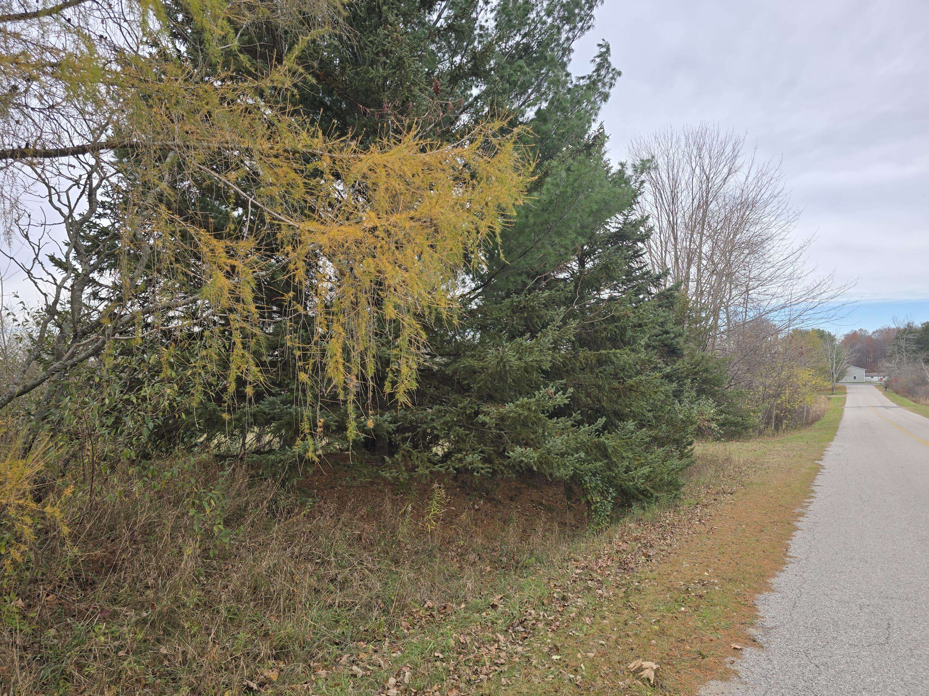 Mears, MI 49436,V/L N 48th Avenue